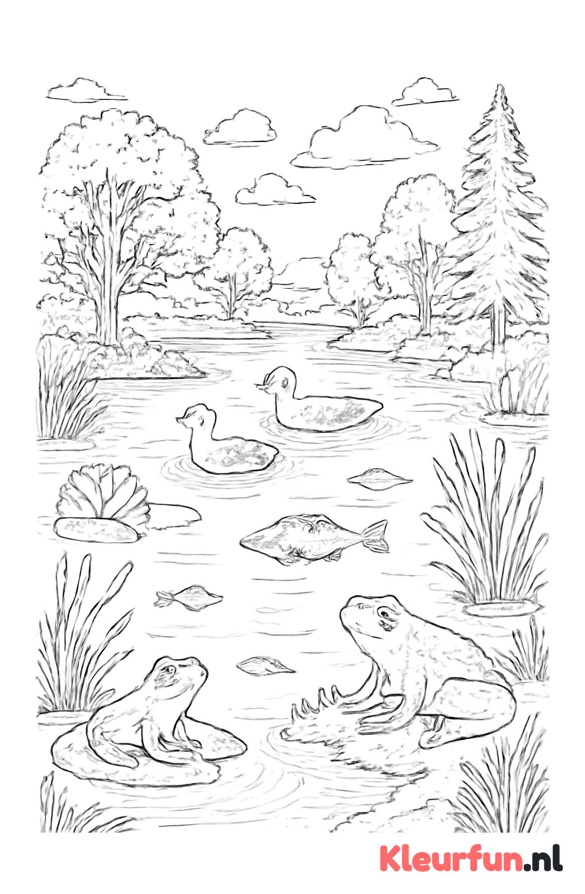 Meer met verschillende waterdieren