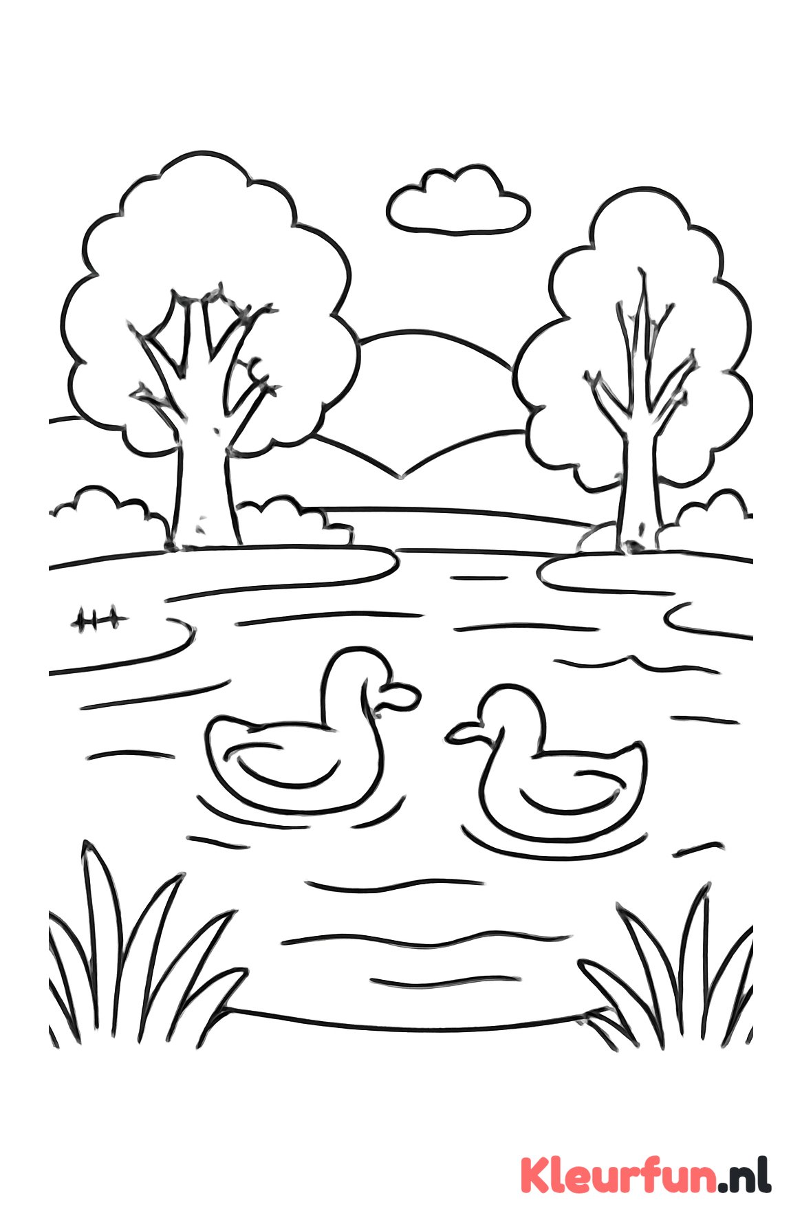 Meer met eenden en bomen