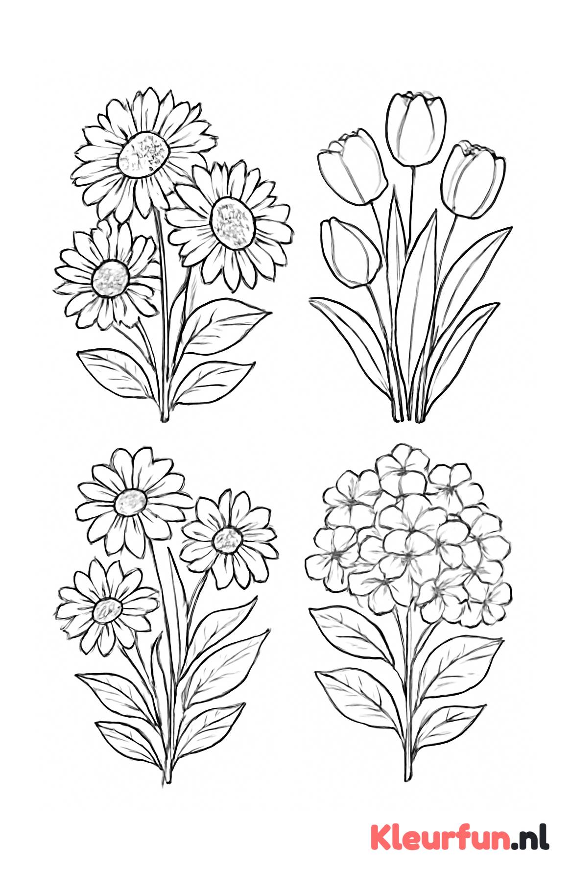 Meerdere boeketten met diverse bloemen
