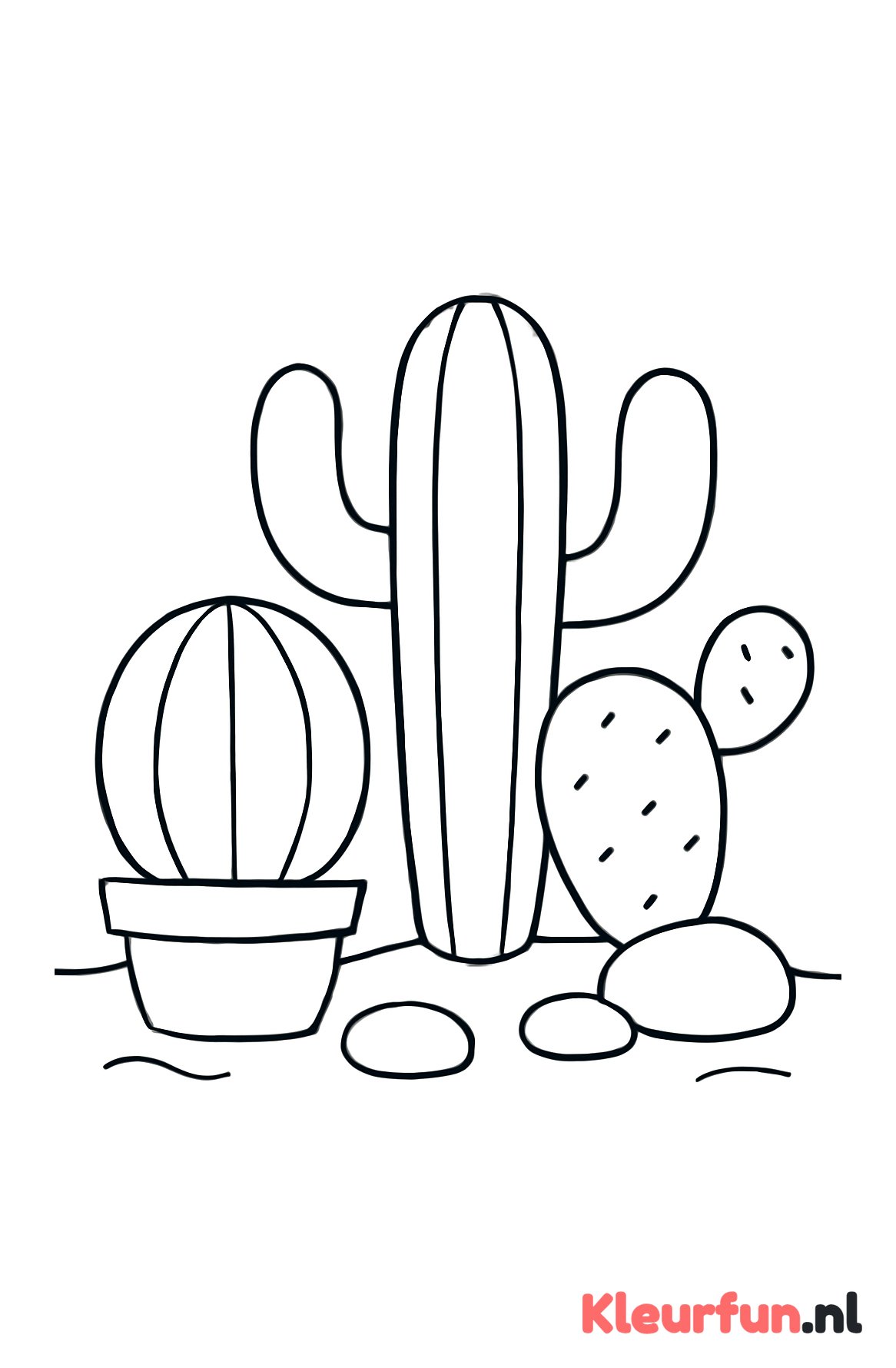 Meerdere grote cactussen
