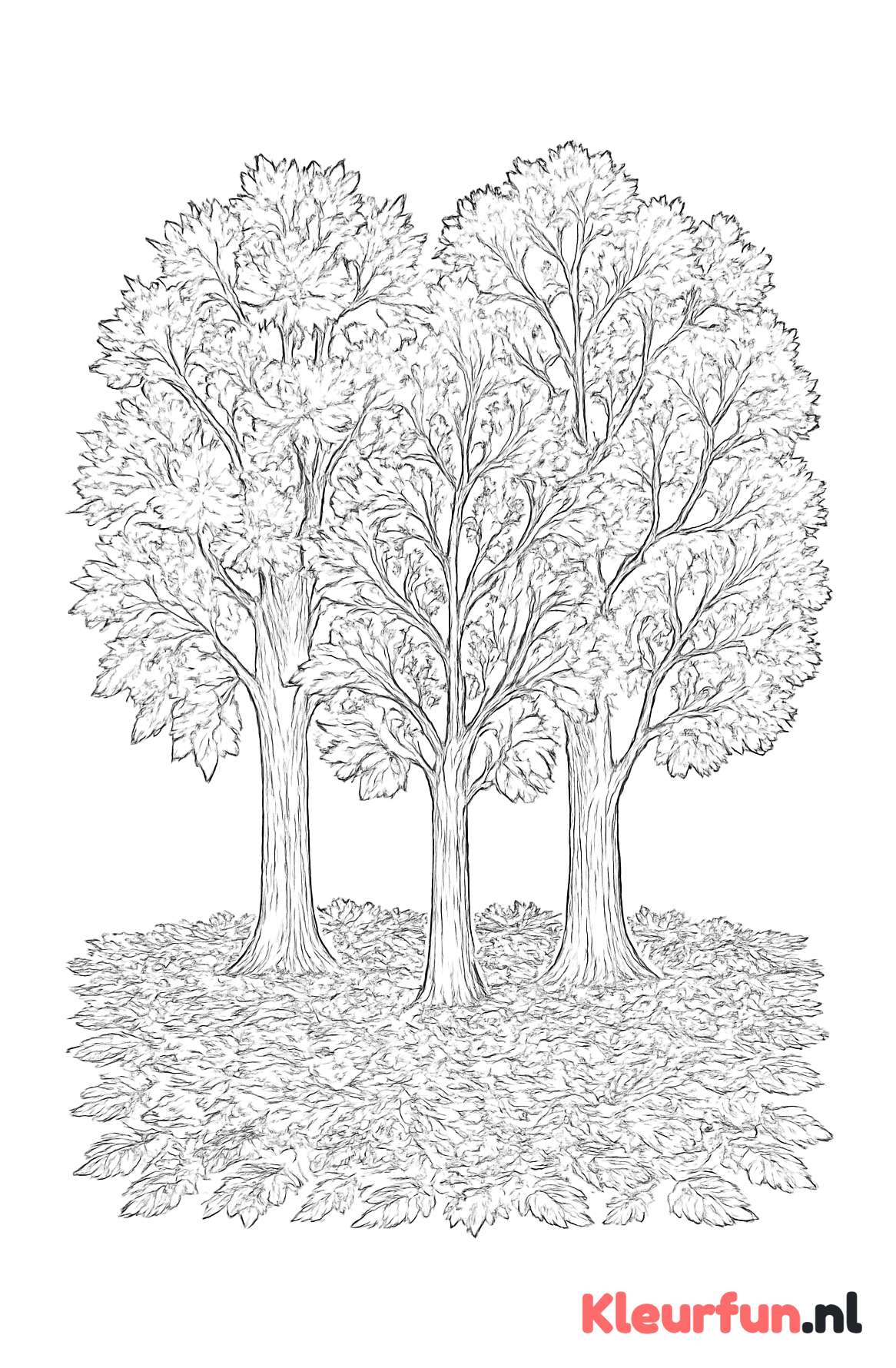 Meerdere herfstbomen met diverse bladeren en texturen