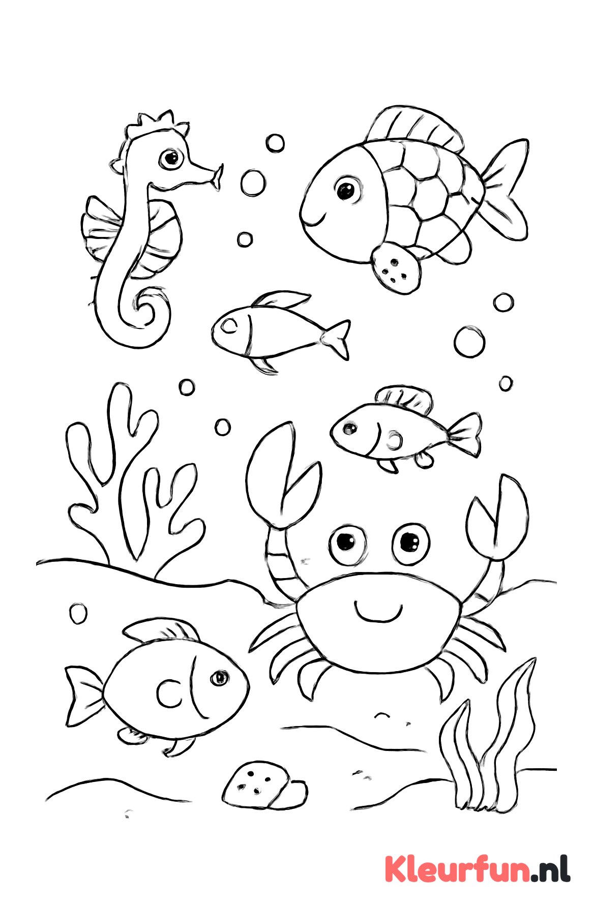 Meerdere zeedieren onder water