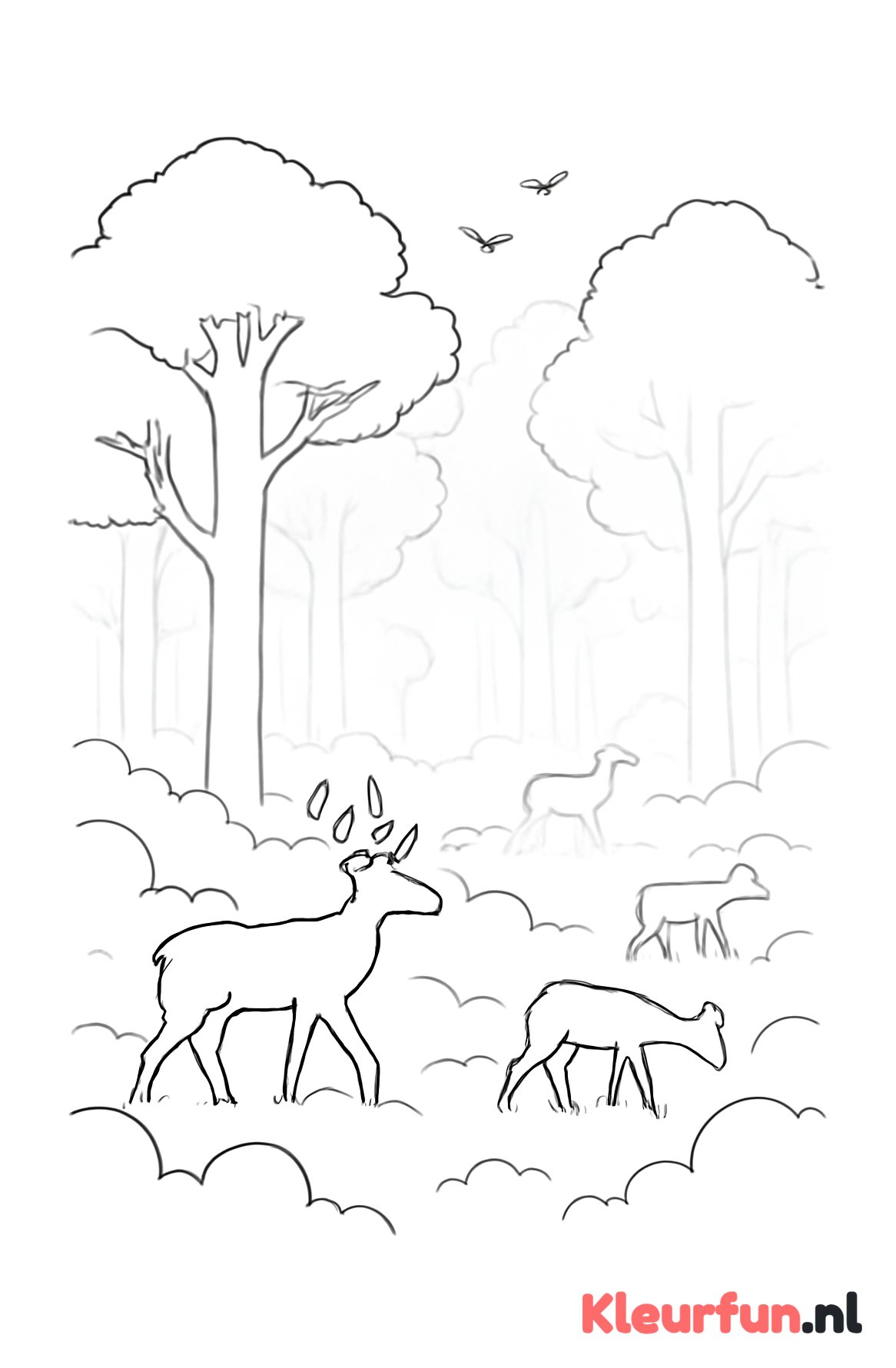 Bos in dichte mist met dieren