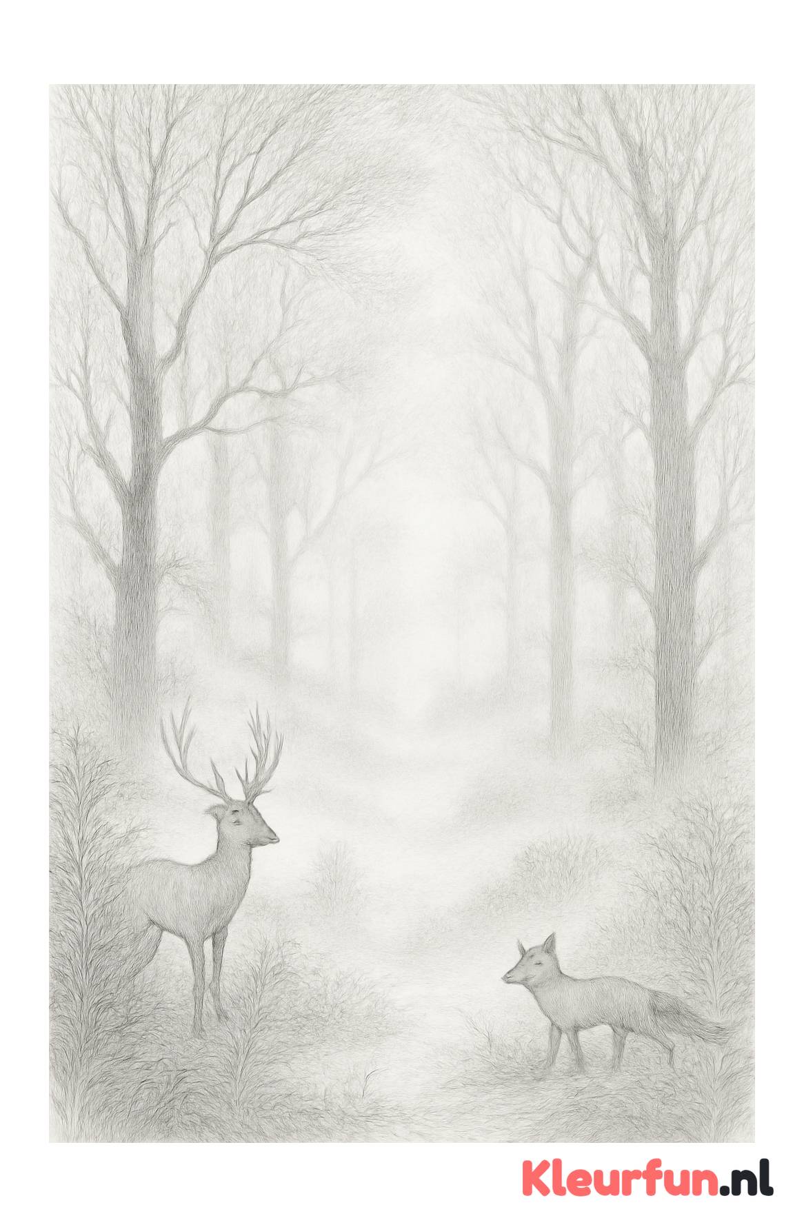 Mystieke bosscène in dichte mist