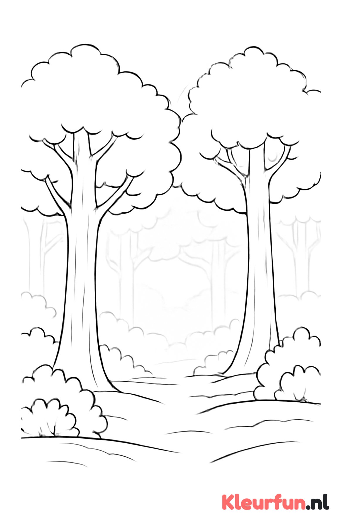 Mistig bos met grote bomen