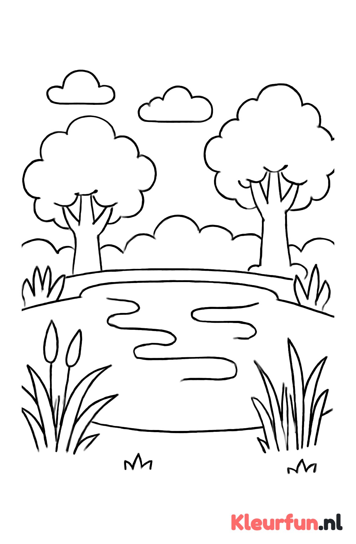 Mistige vijver met riet