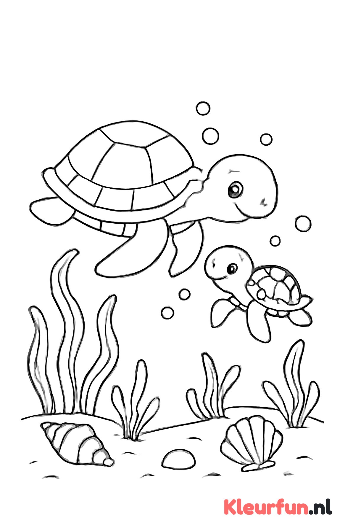 Moeder en baby schildpad