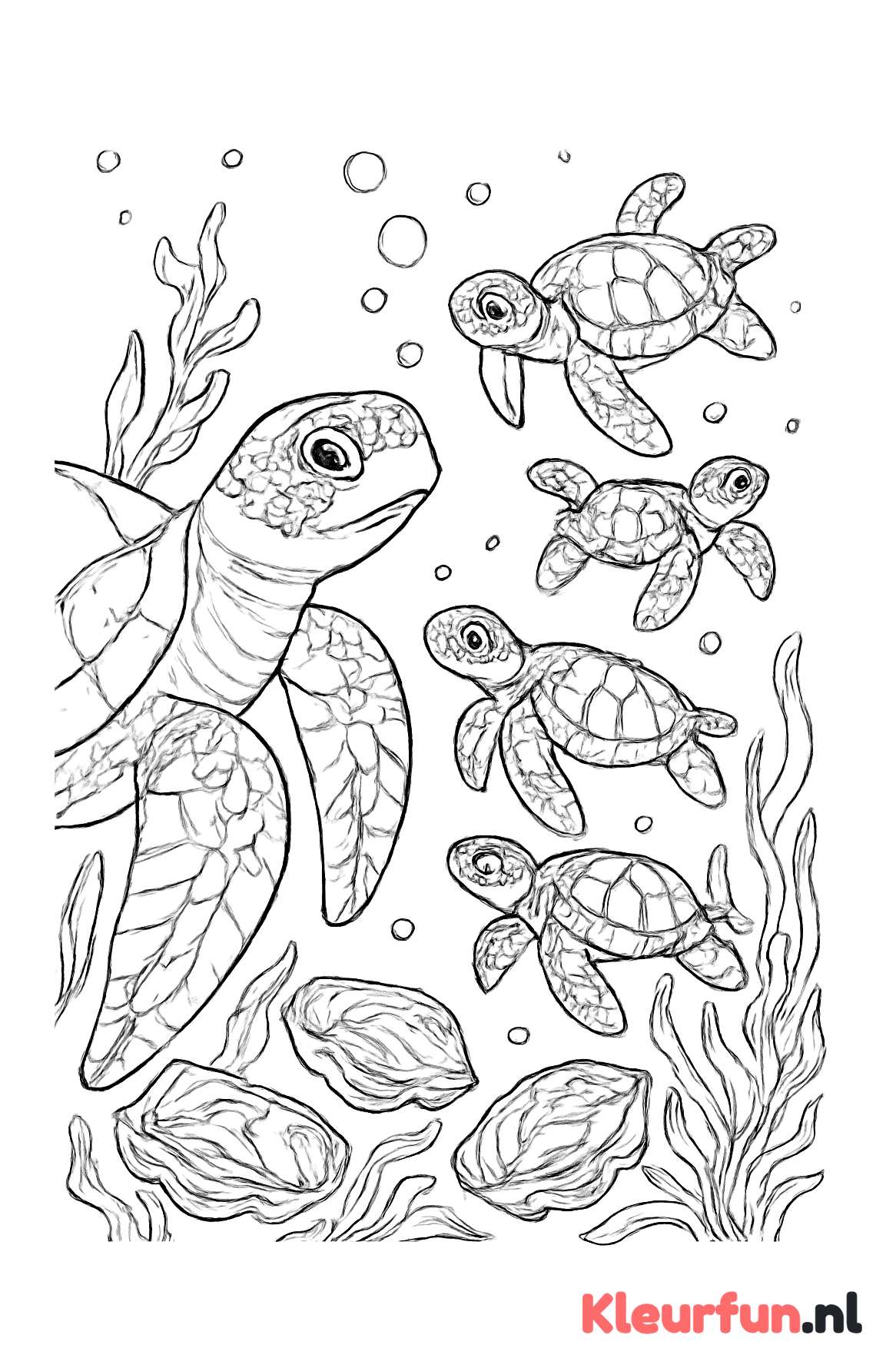 Moeder schildpad met jonge schildpadjes