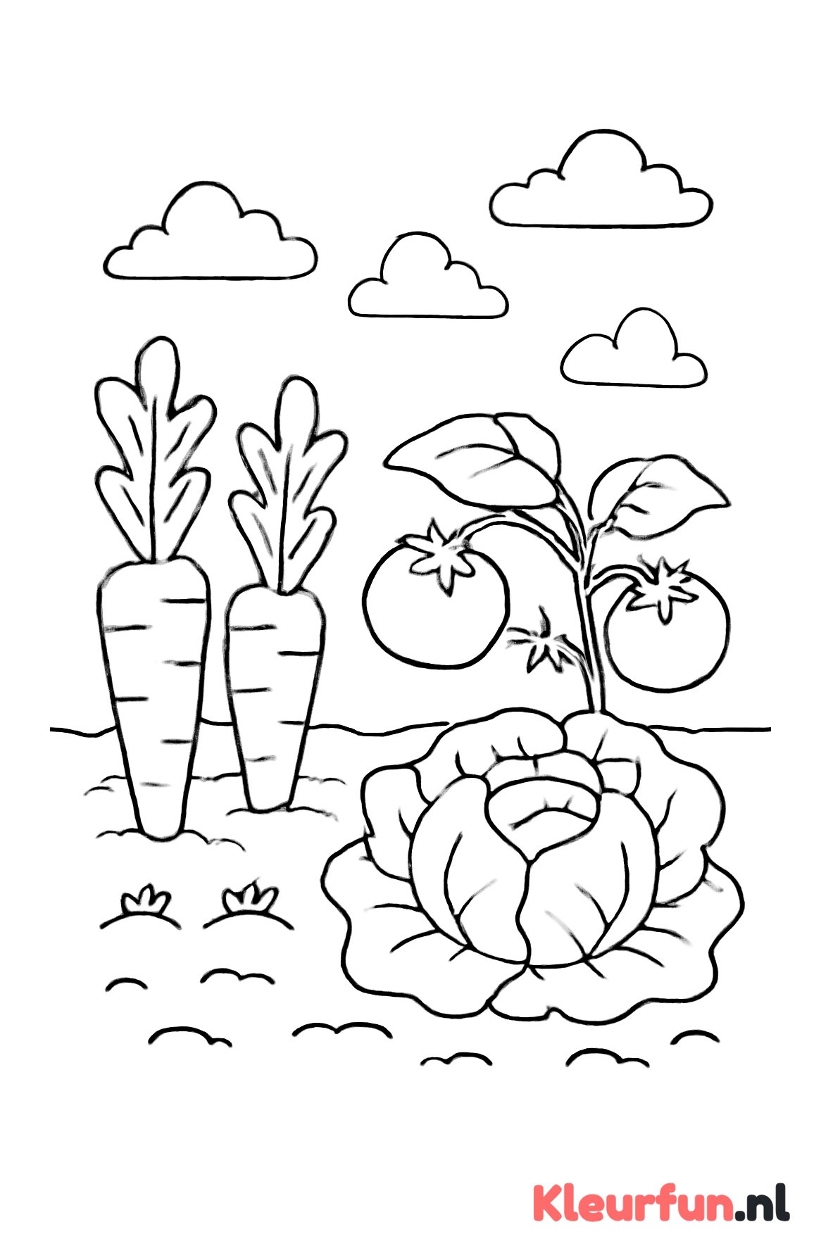 Moestuin met groenten
