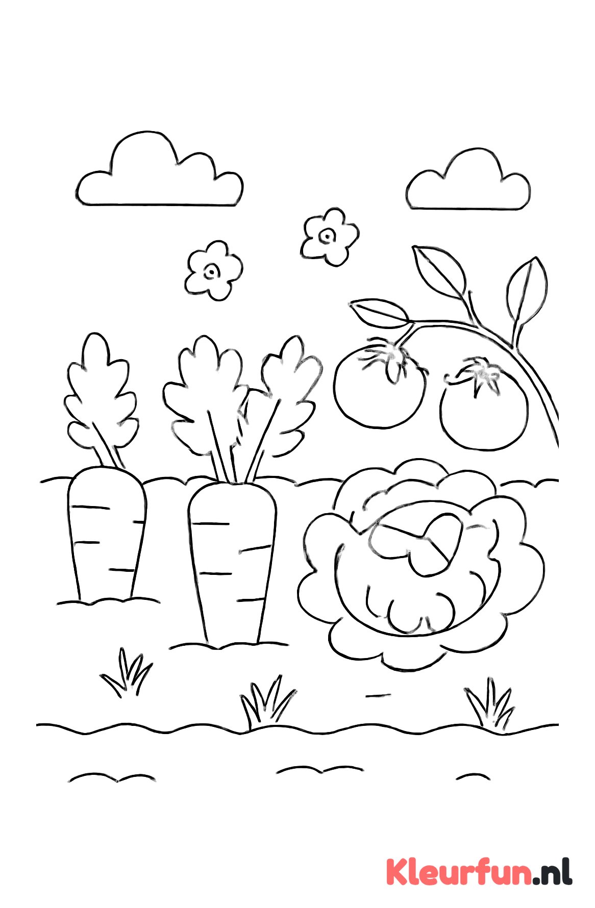 Moestuin met groenten