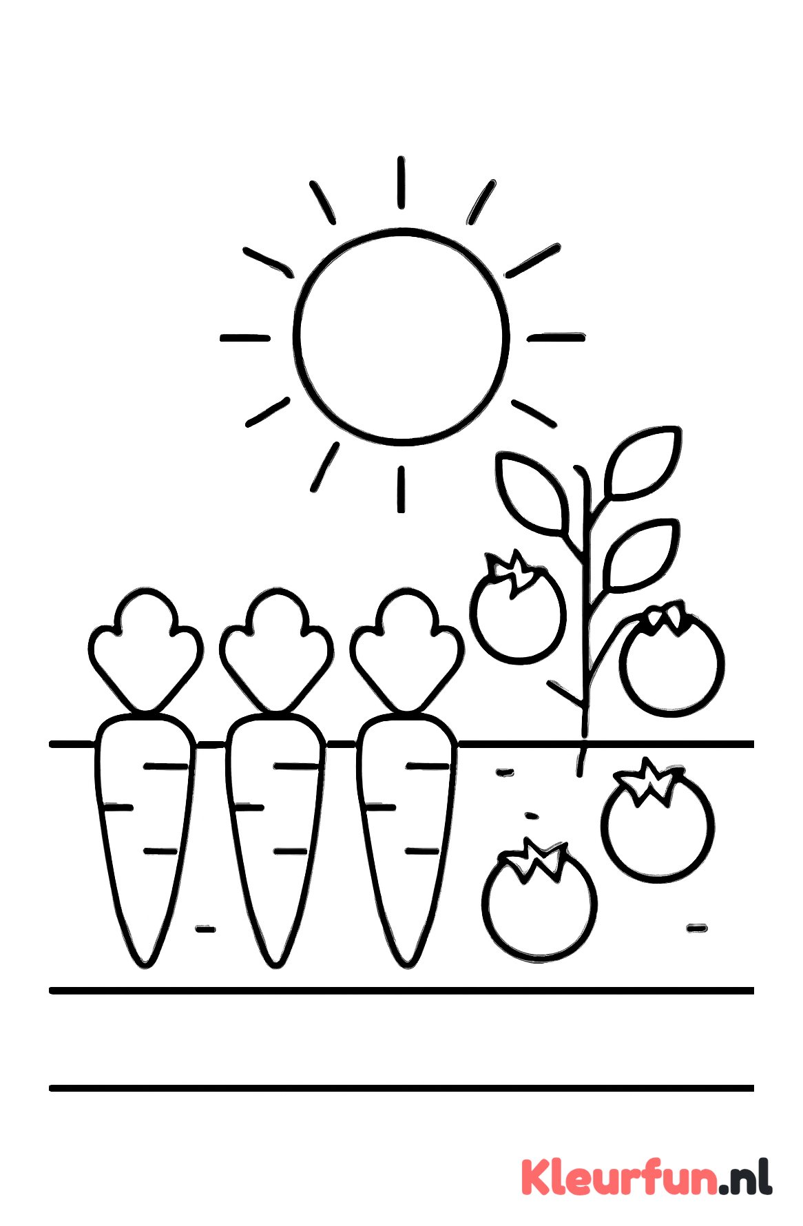 Eenvoudige moestuin met grote groenten