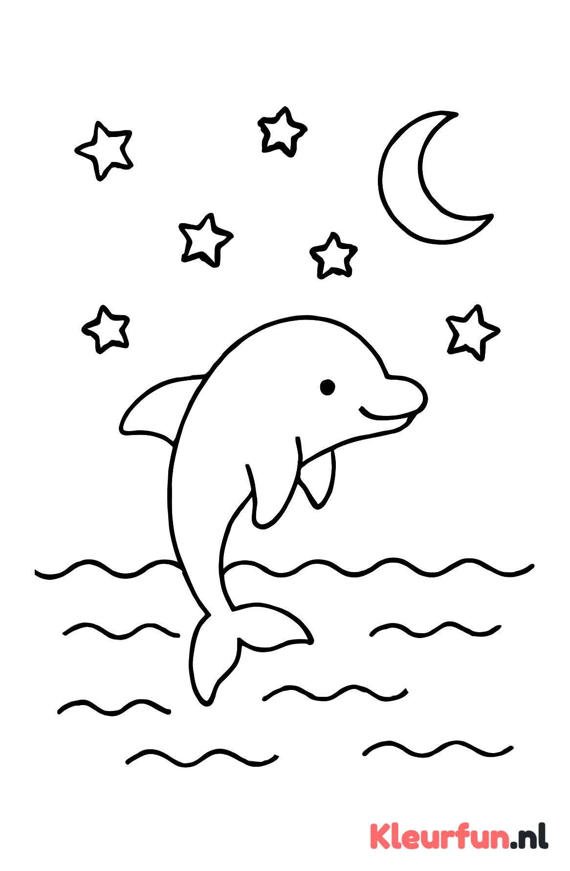 Dolfijn in de nacht