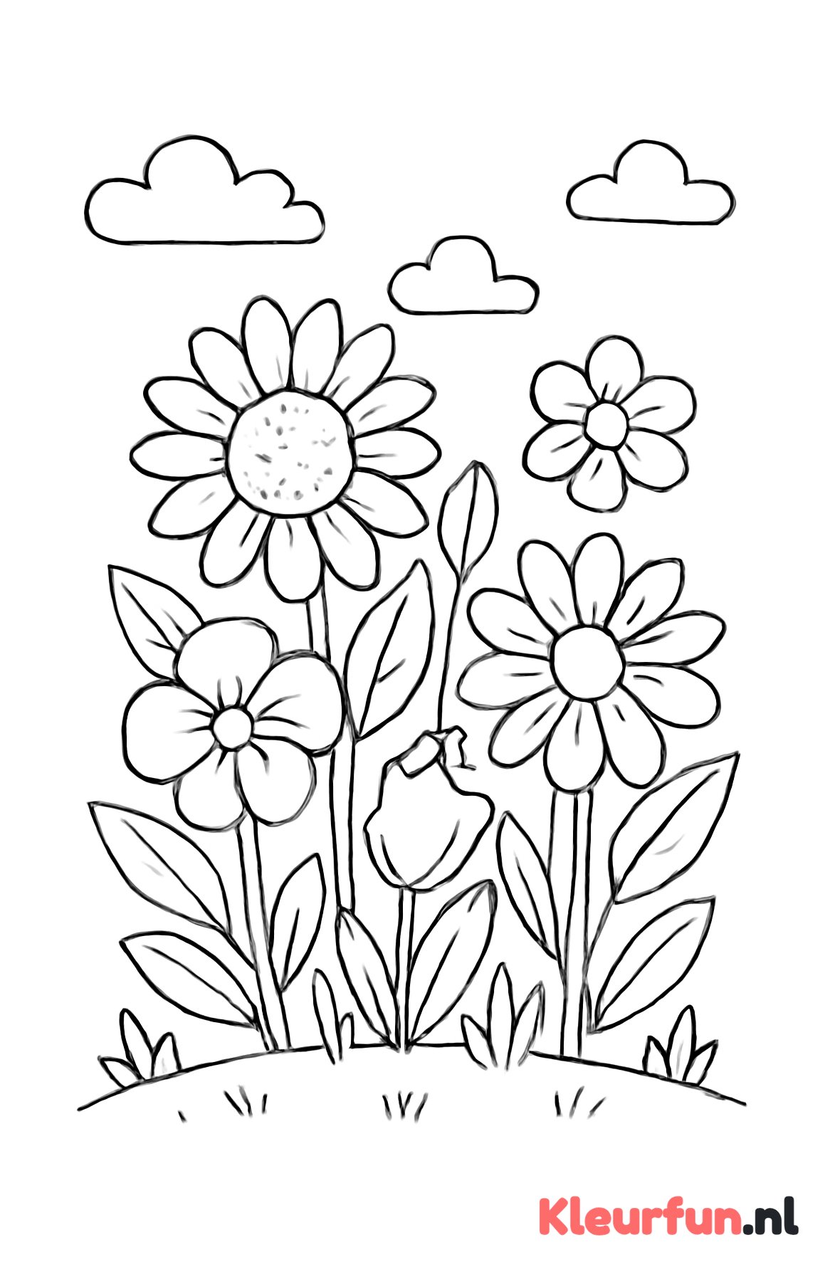 Bos bloemen in de natuur