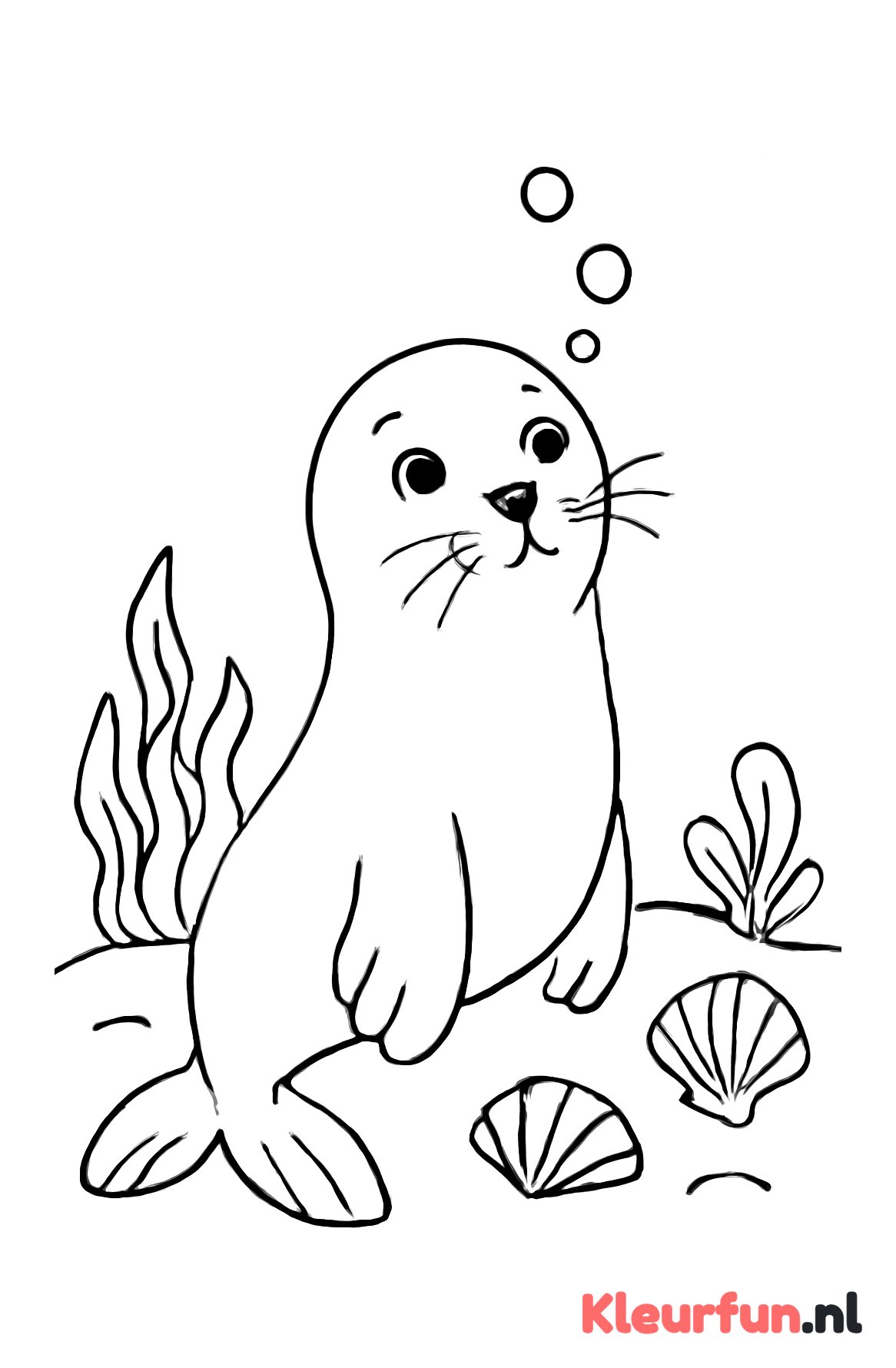 Nieuwsgierige zeehond onderwater