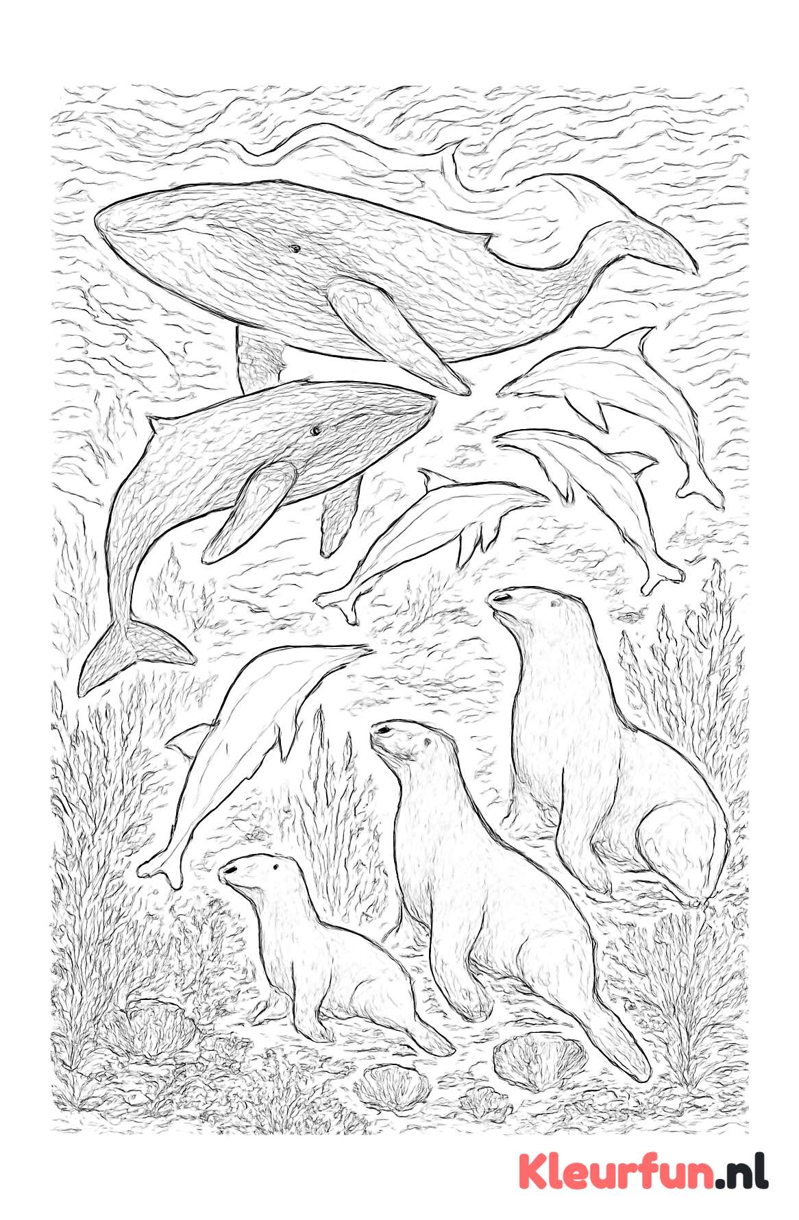 Oceaanleven Zeedieren