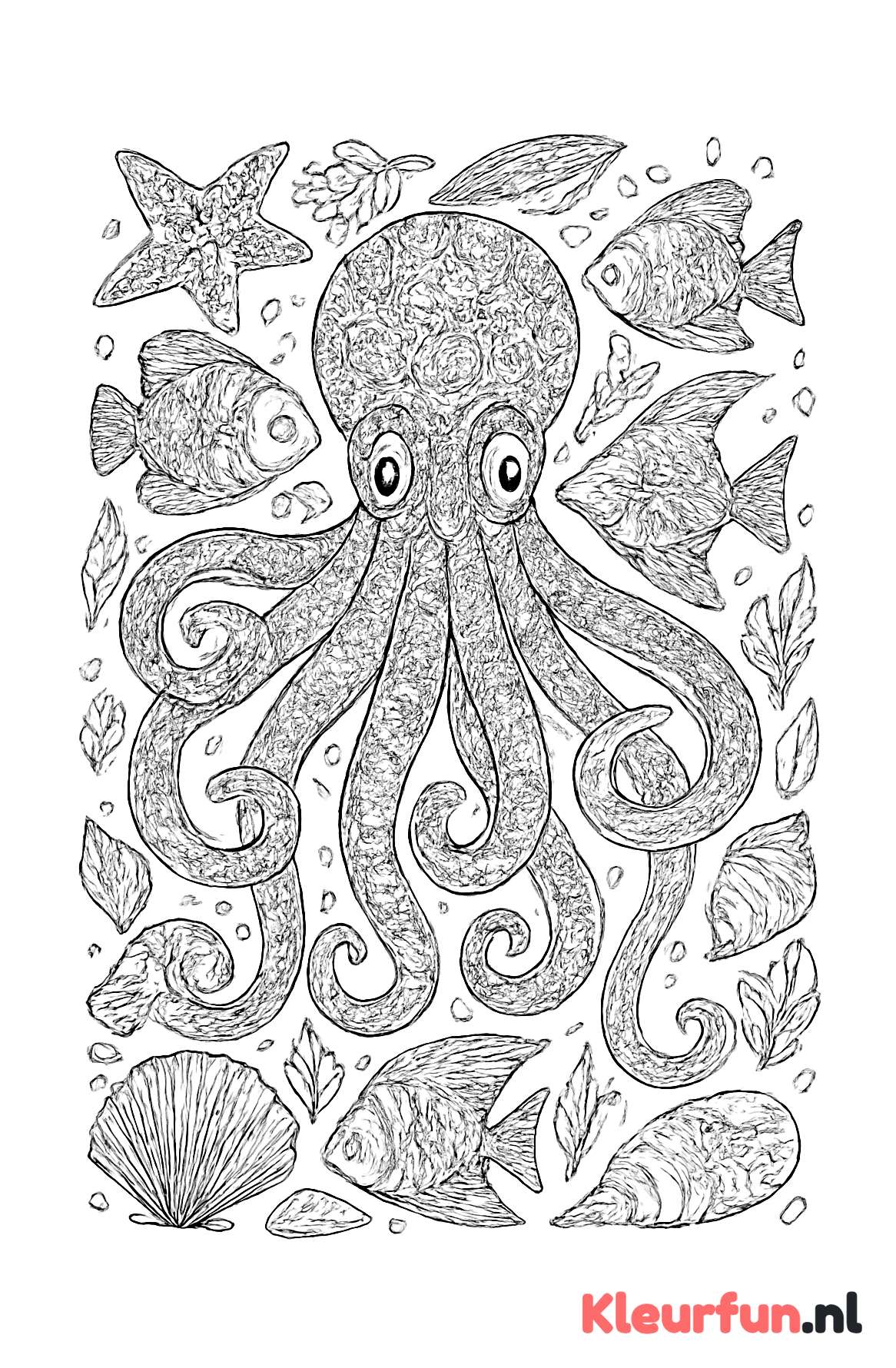 Octopus en Vissen Complex