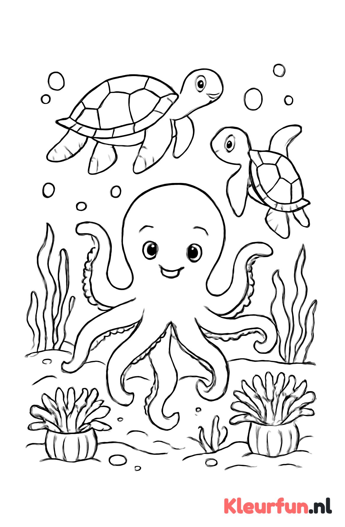 Octopus en zeeschildpadden