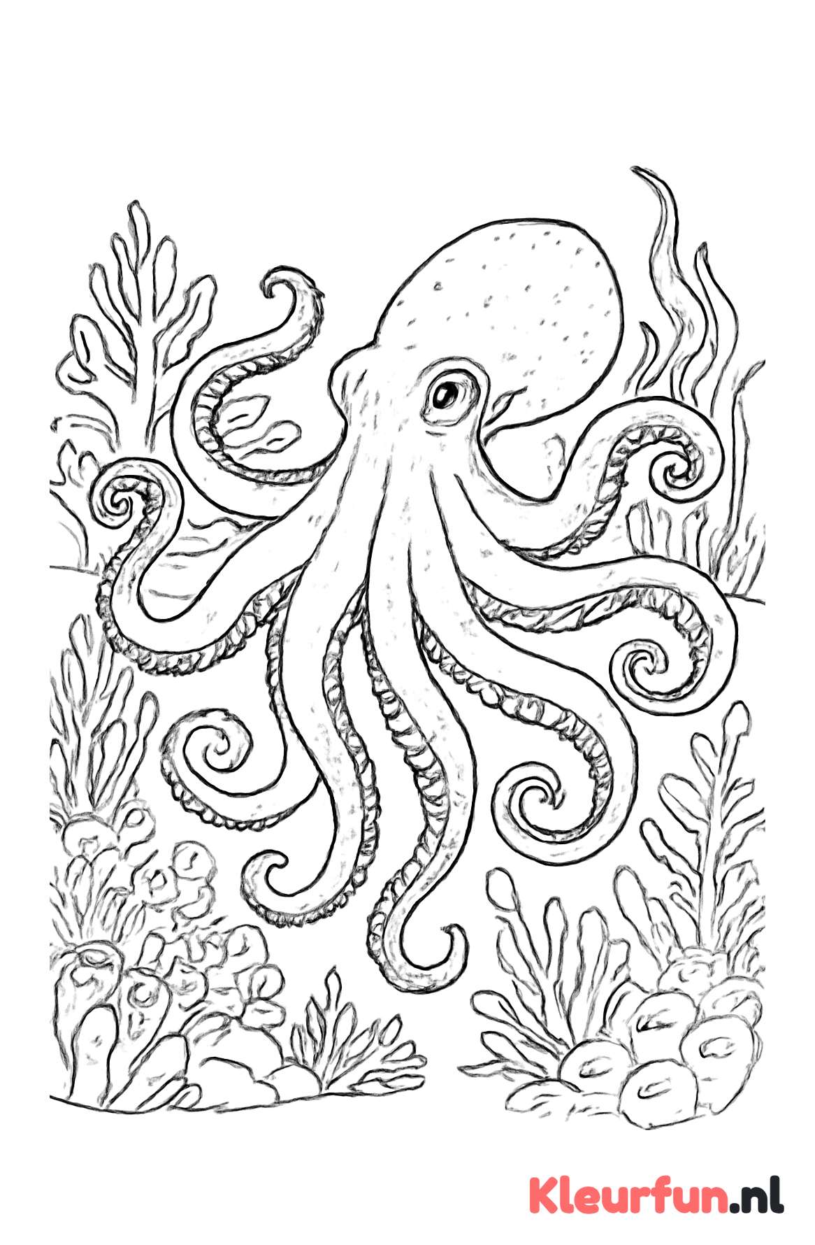 Octopus met Grote Tentakels