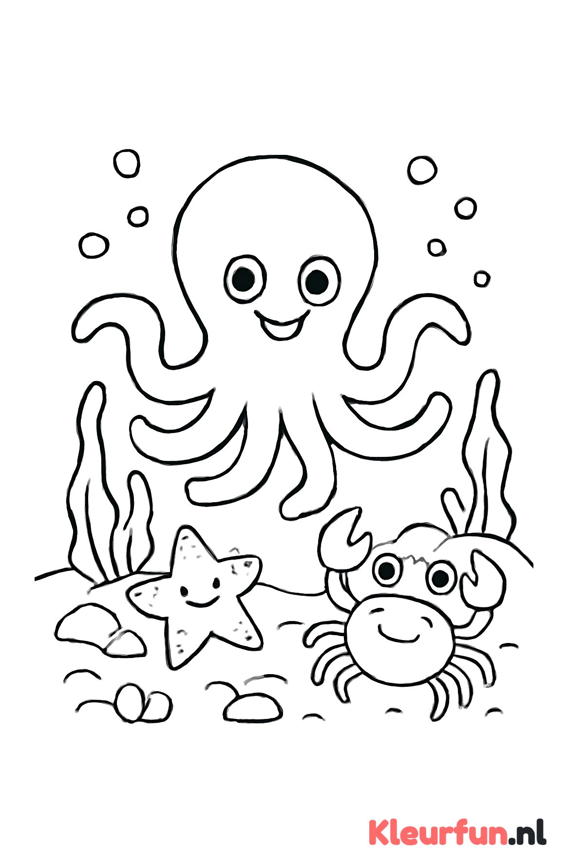Octopus met krab en zeester
