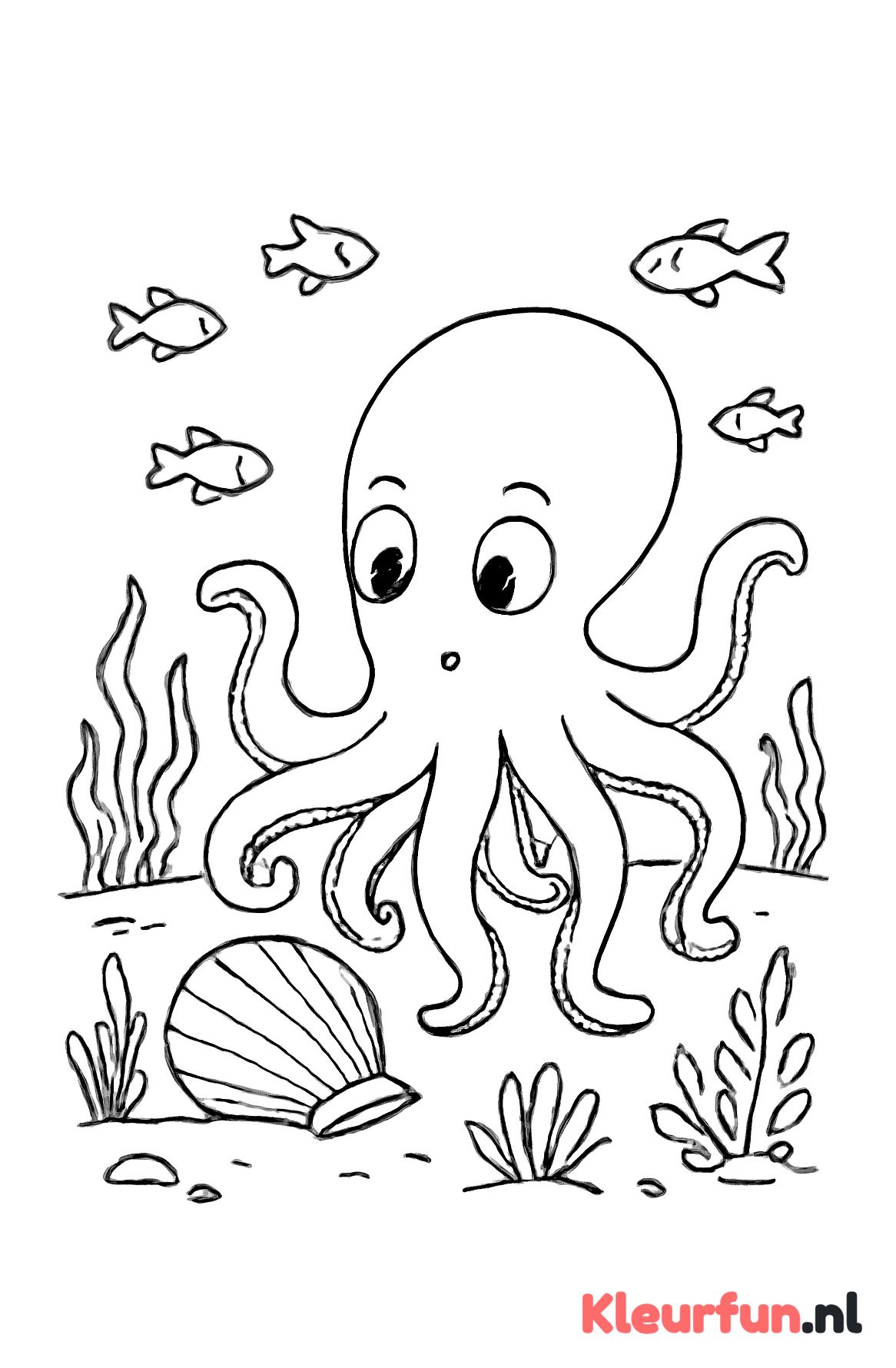 Octopus Onderzoekt een Schelp