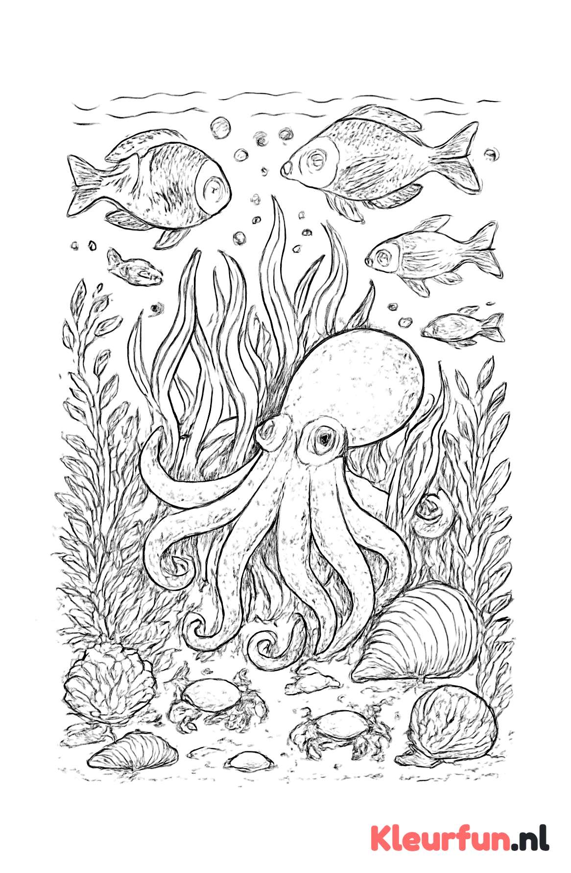 Octopus tussen zeegras