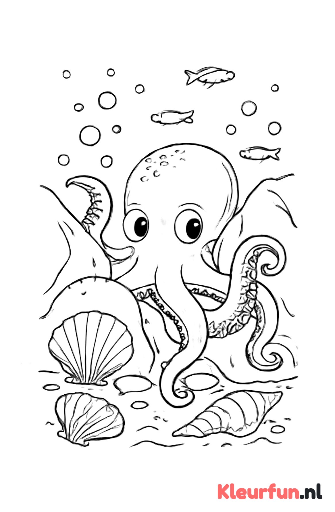 Octopus Verstopt Tussen Rotsen