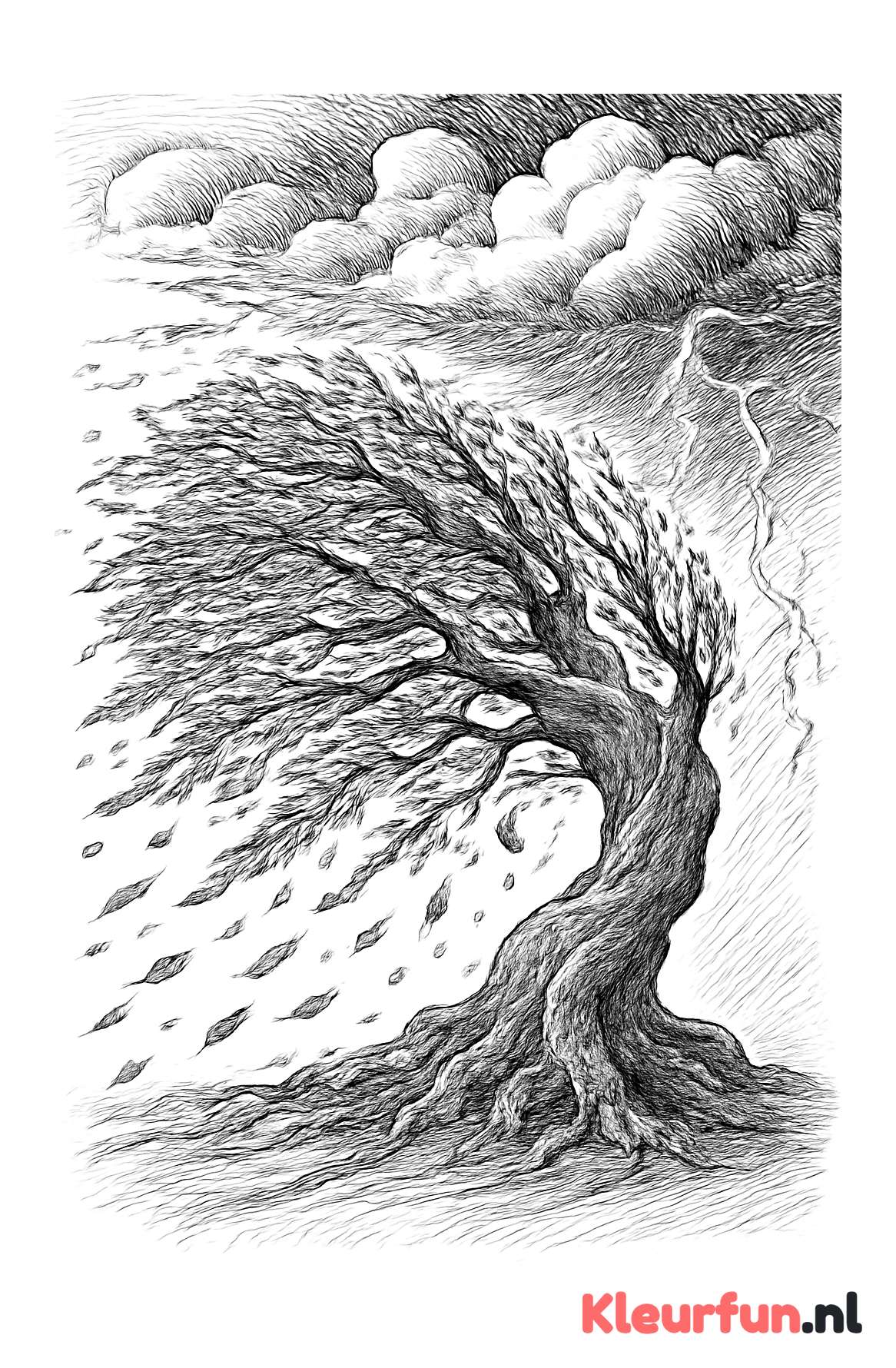 Oeroude boom in storm