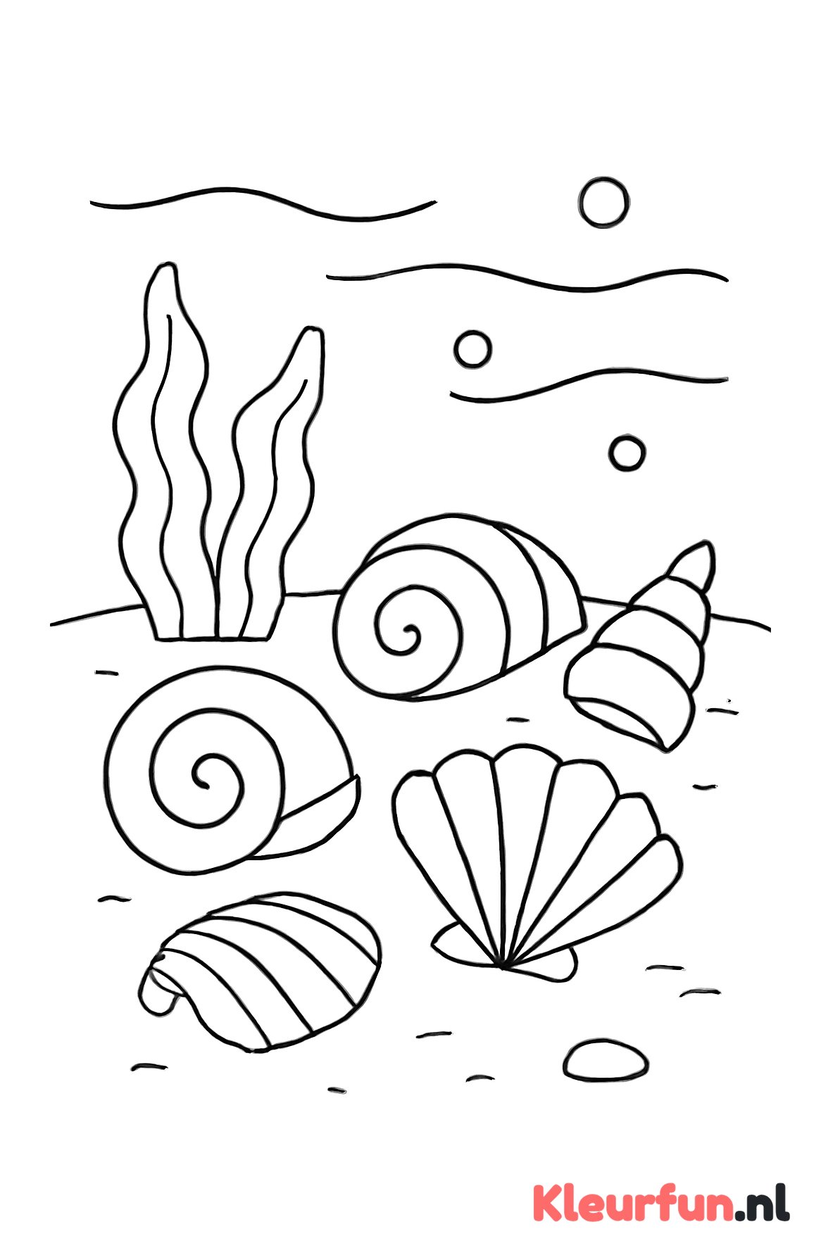 Schelpen op de onderwaterbodem