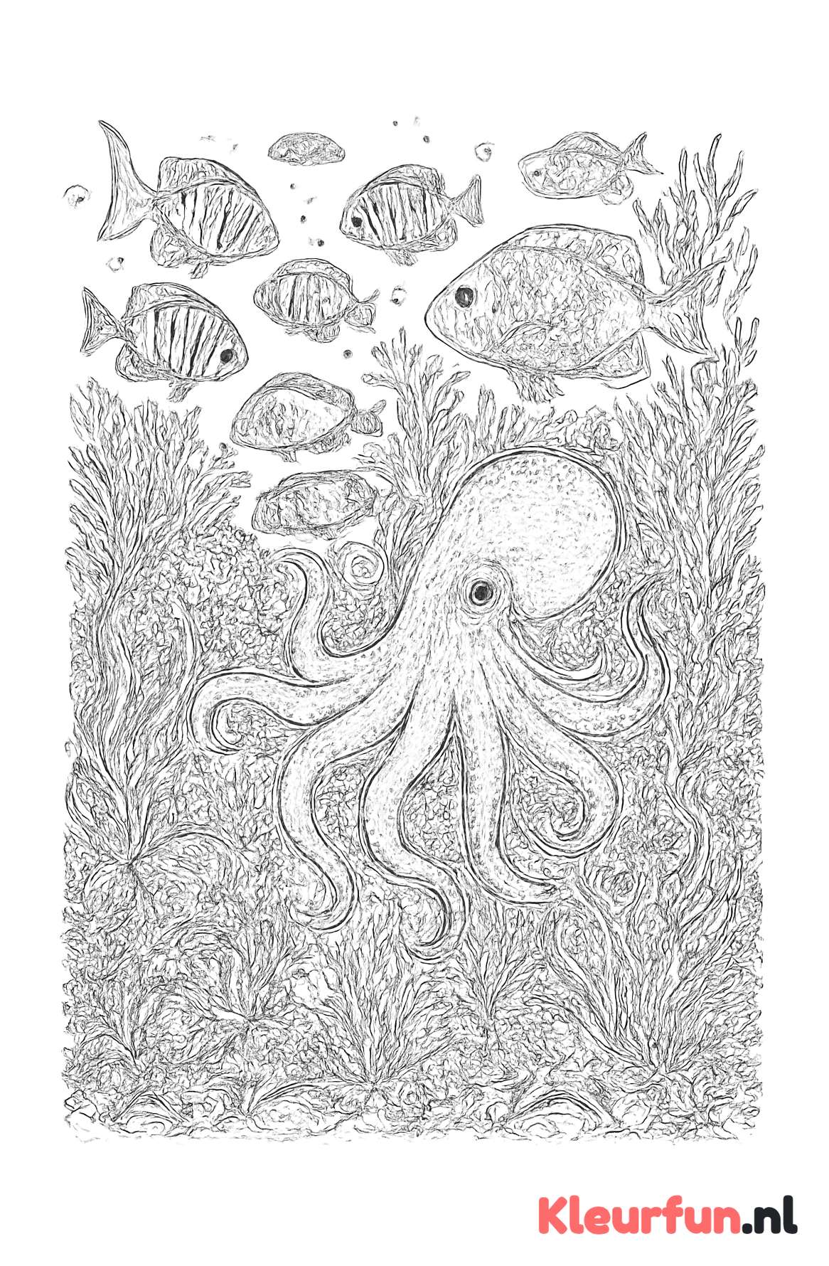 Koraalrif met vissen en octopus