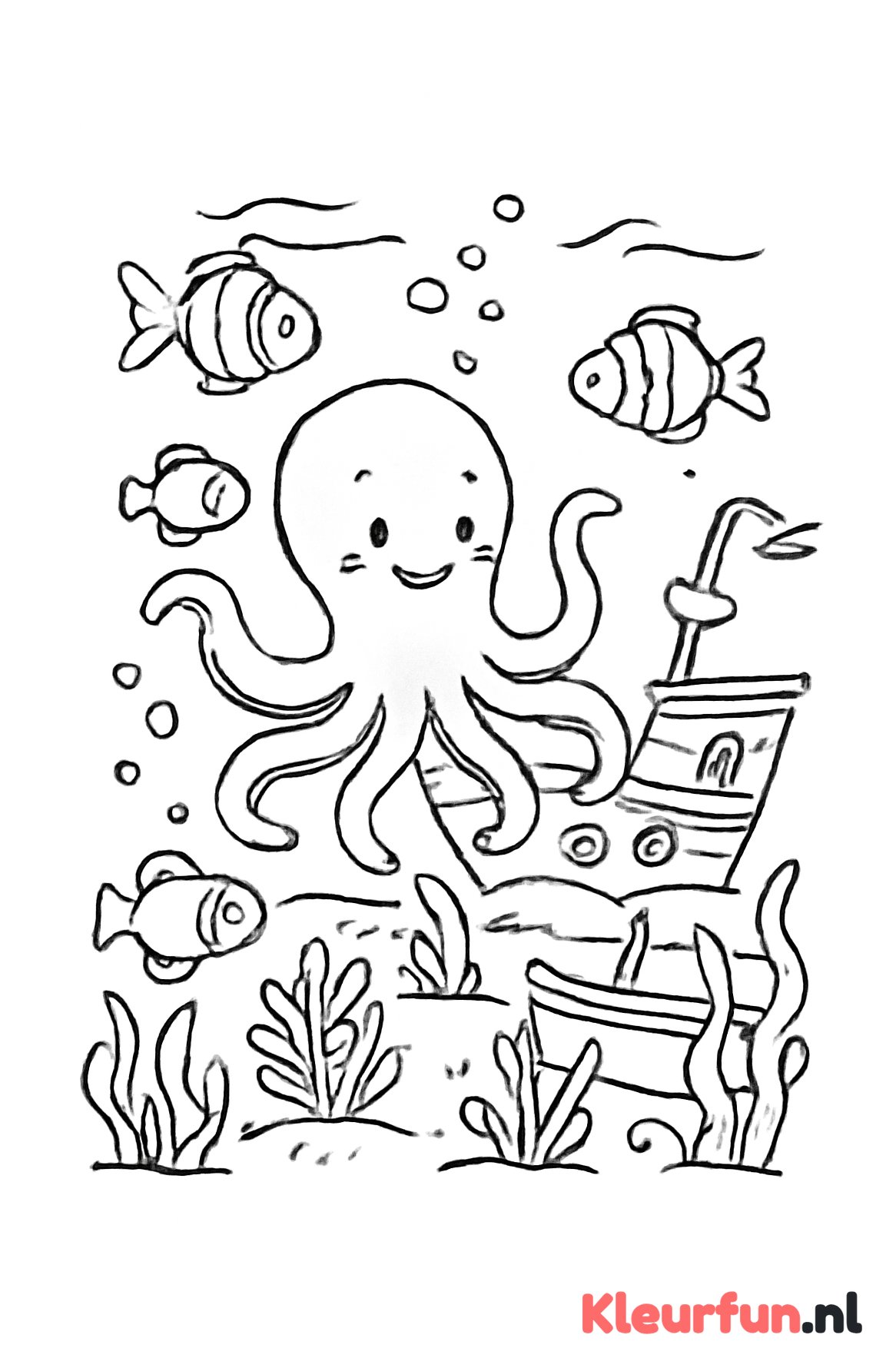 Onderwater met octopus en scheepswrak