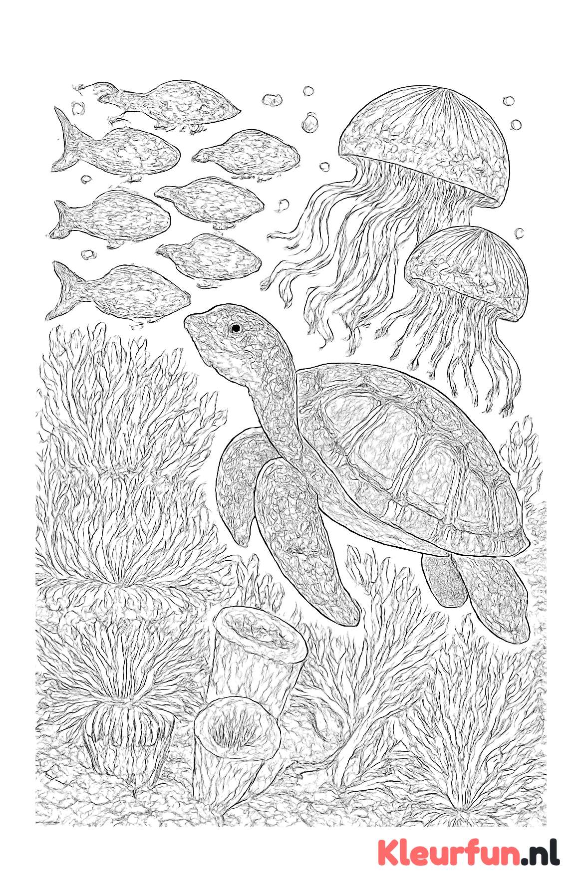 Gedetailleerde zeedieren onderwater scene