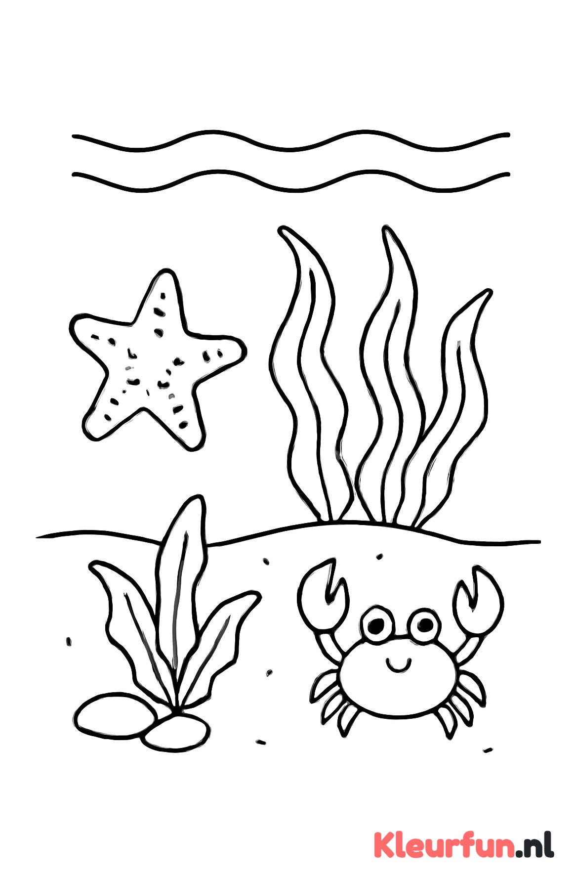 Onderwaterlandschap met zeester en krab