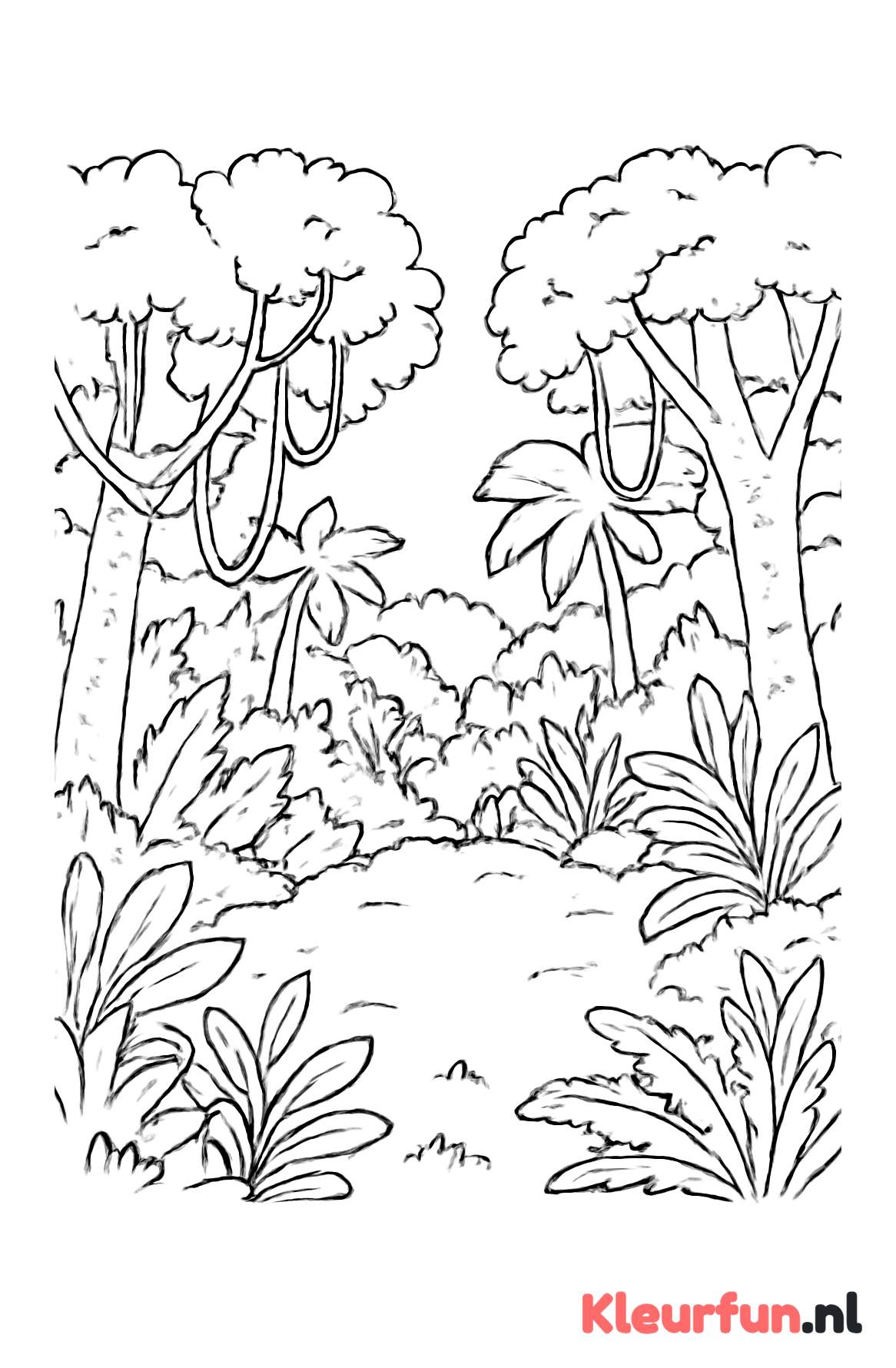 Weids jungle landschap met open plek