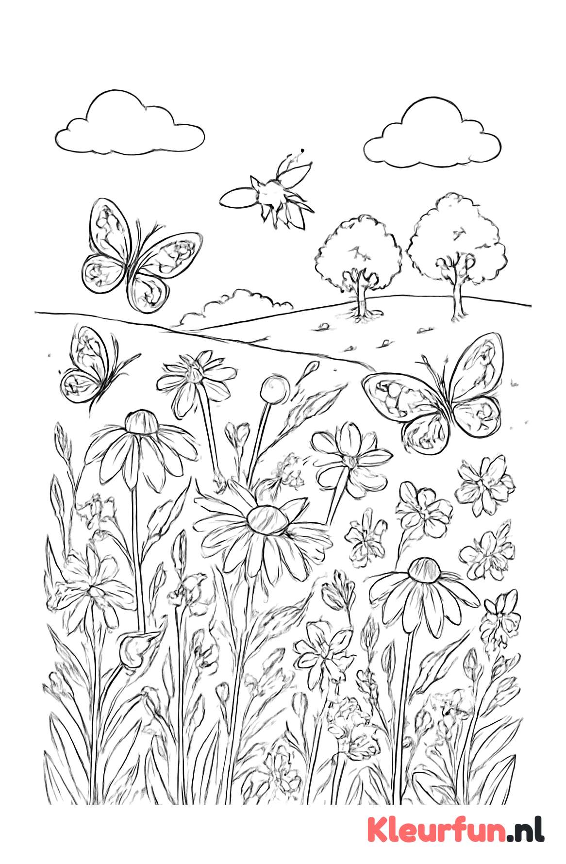 Open veld met wilde bloemen en insecten