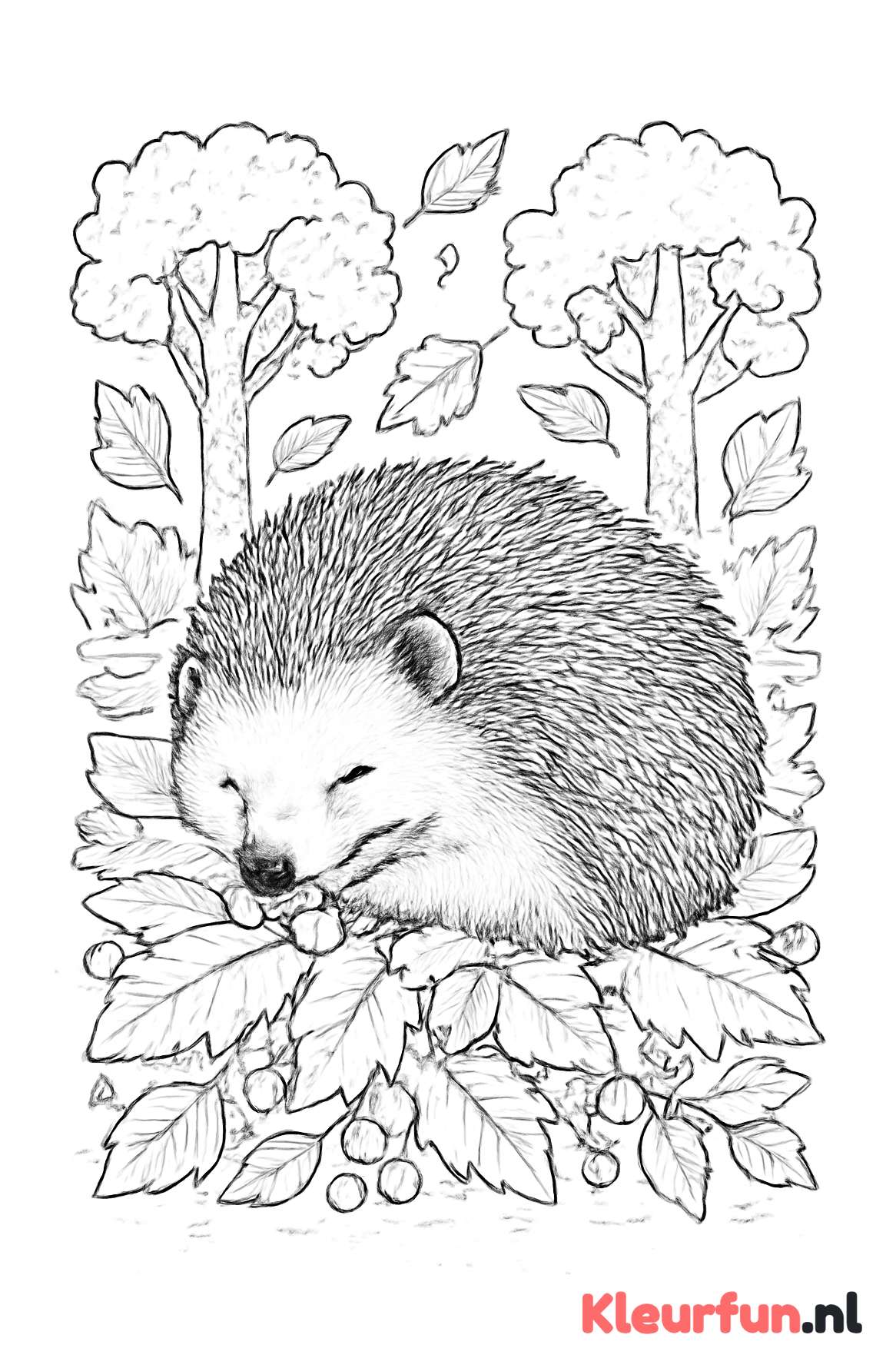 Opgerolde egel tussen bladeren