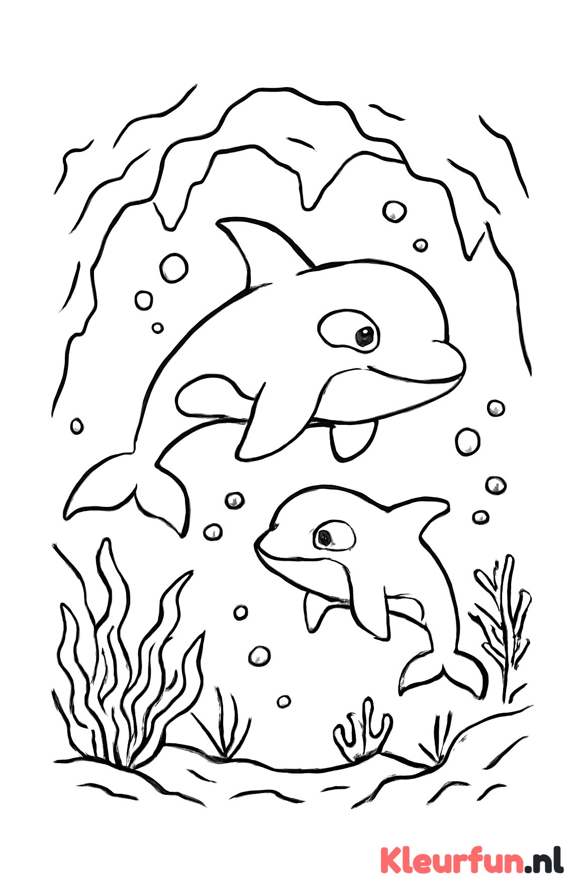 Orka's in een onderwatergrot