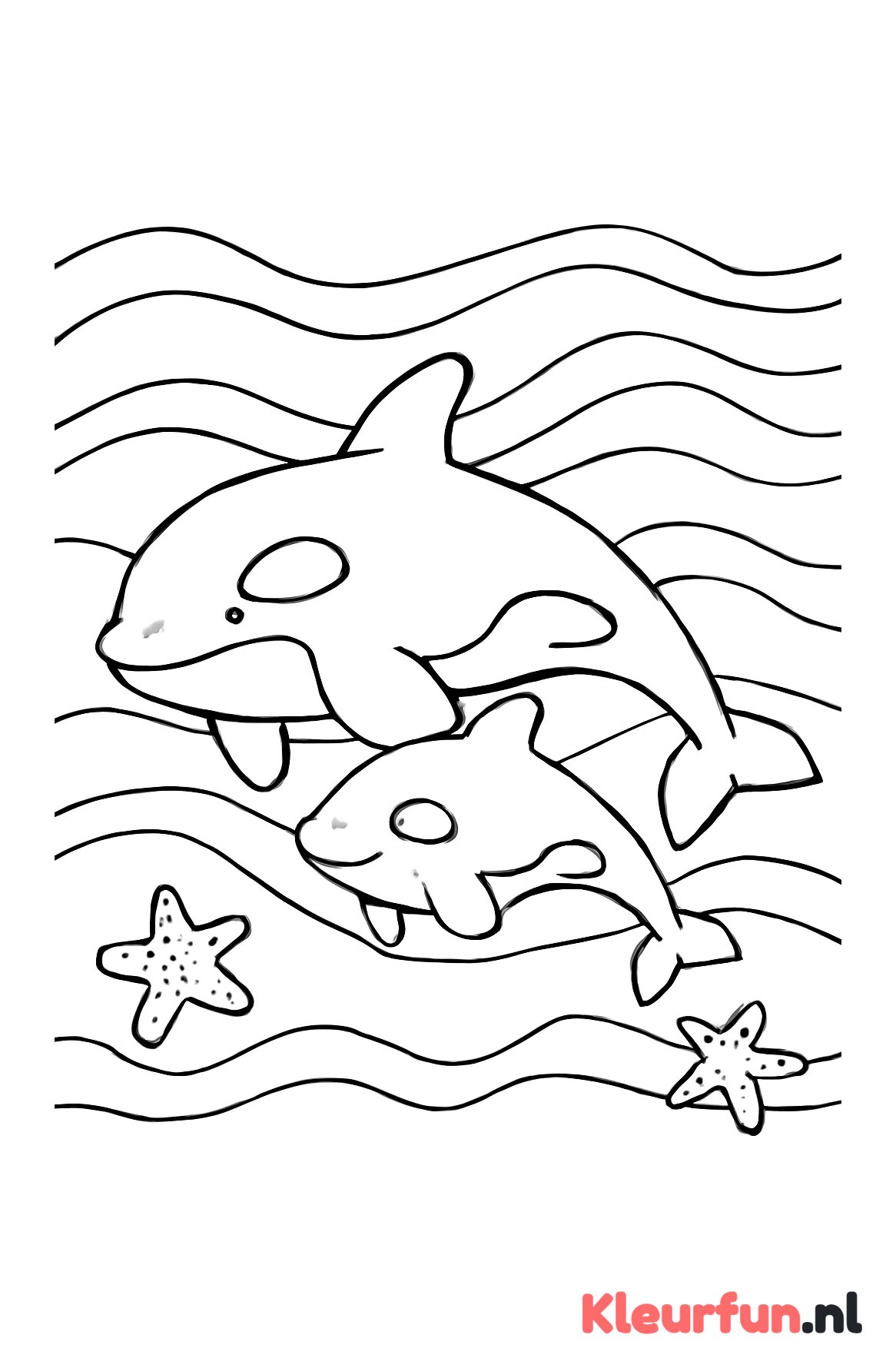 Orka en haar kalfje in het water
