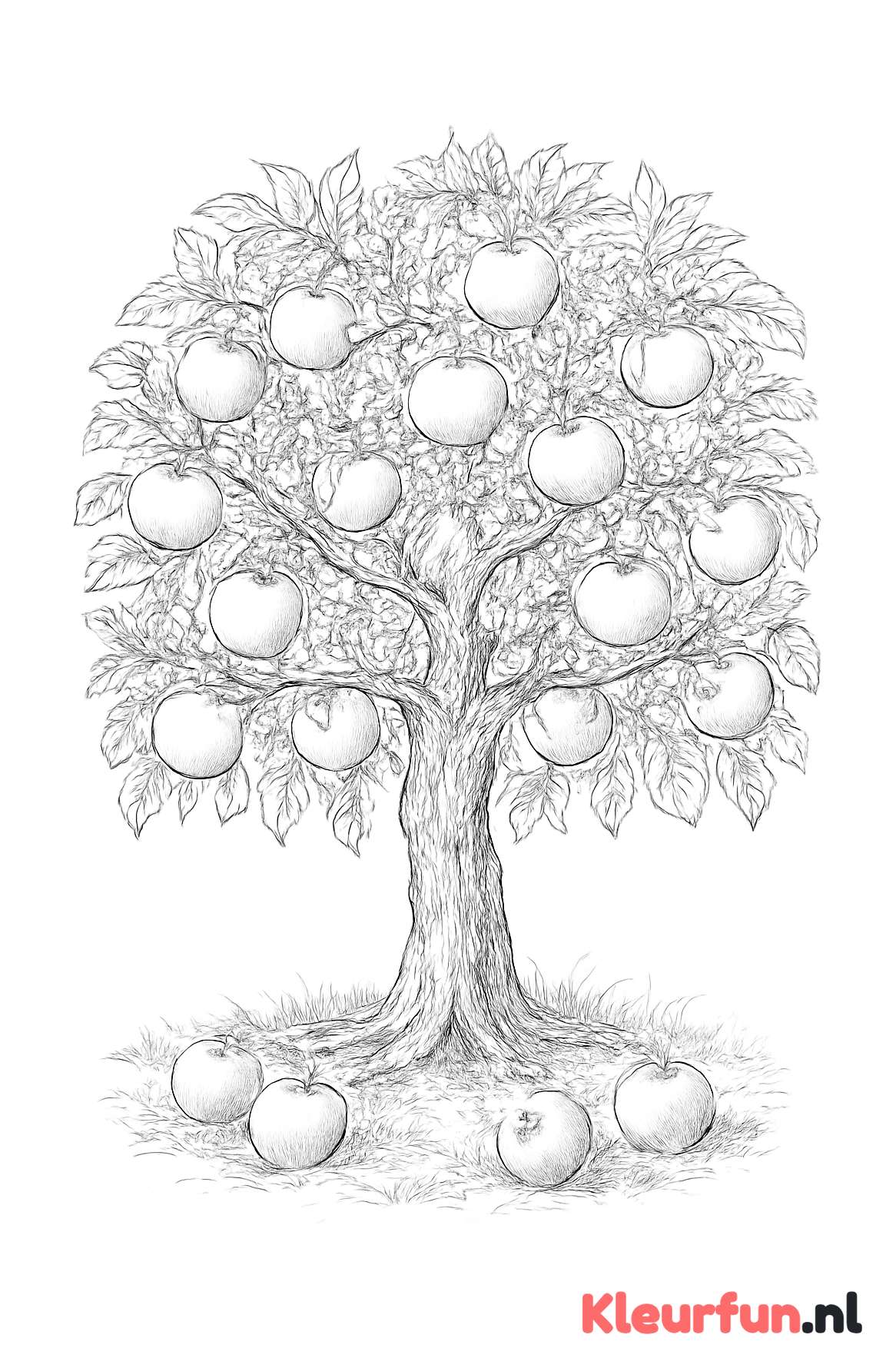 Oude appelboom vol met appels
