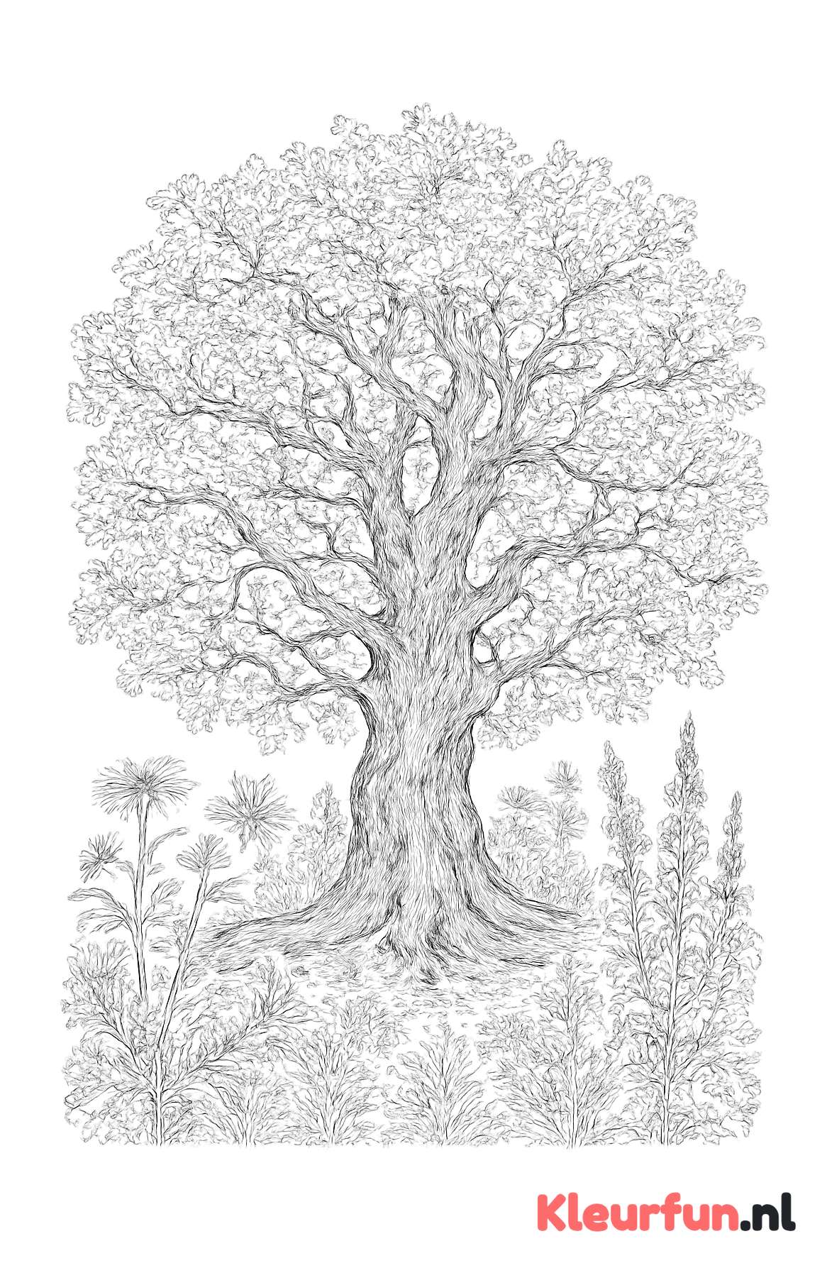 Oude eikenboom met wilde planten