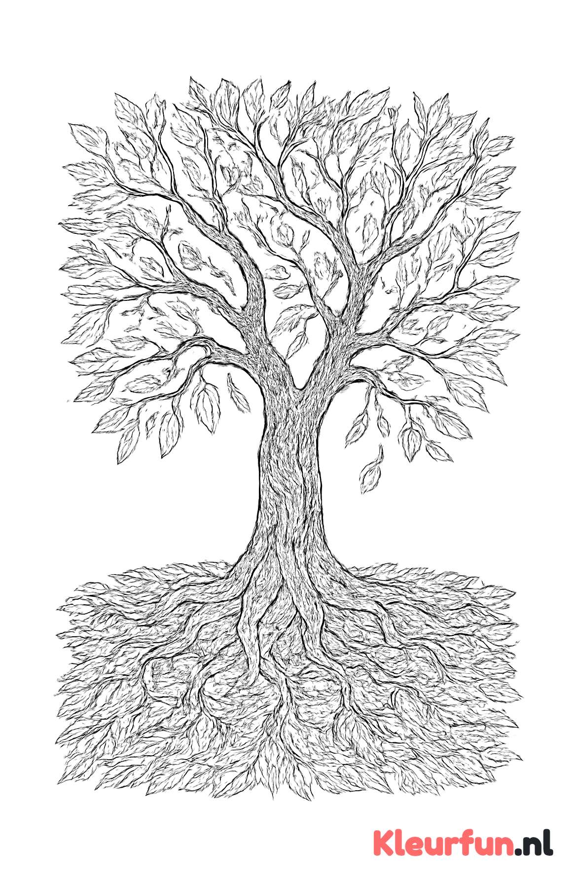 Oude herfstboom met wortels en gevallen bladeren