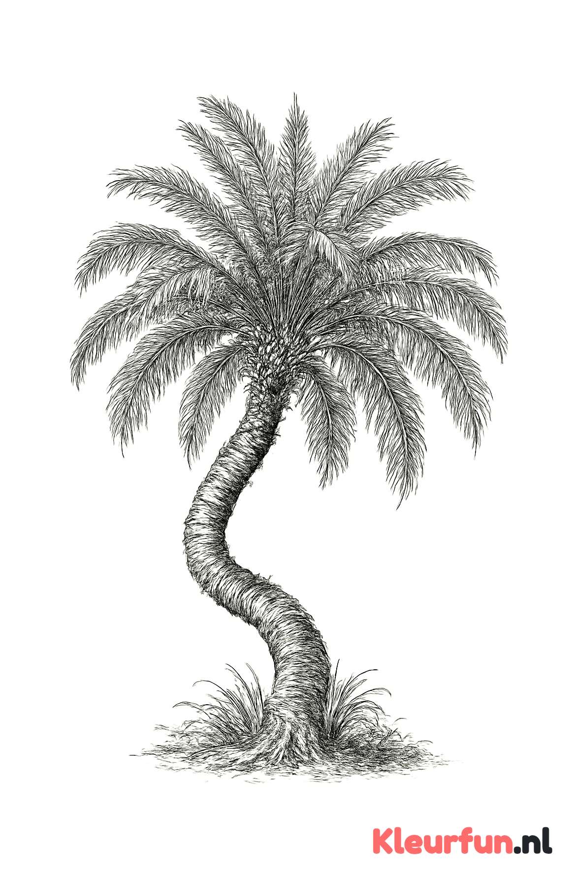 Oude palmboom met veel details