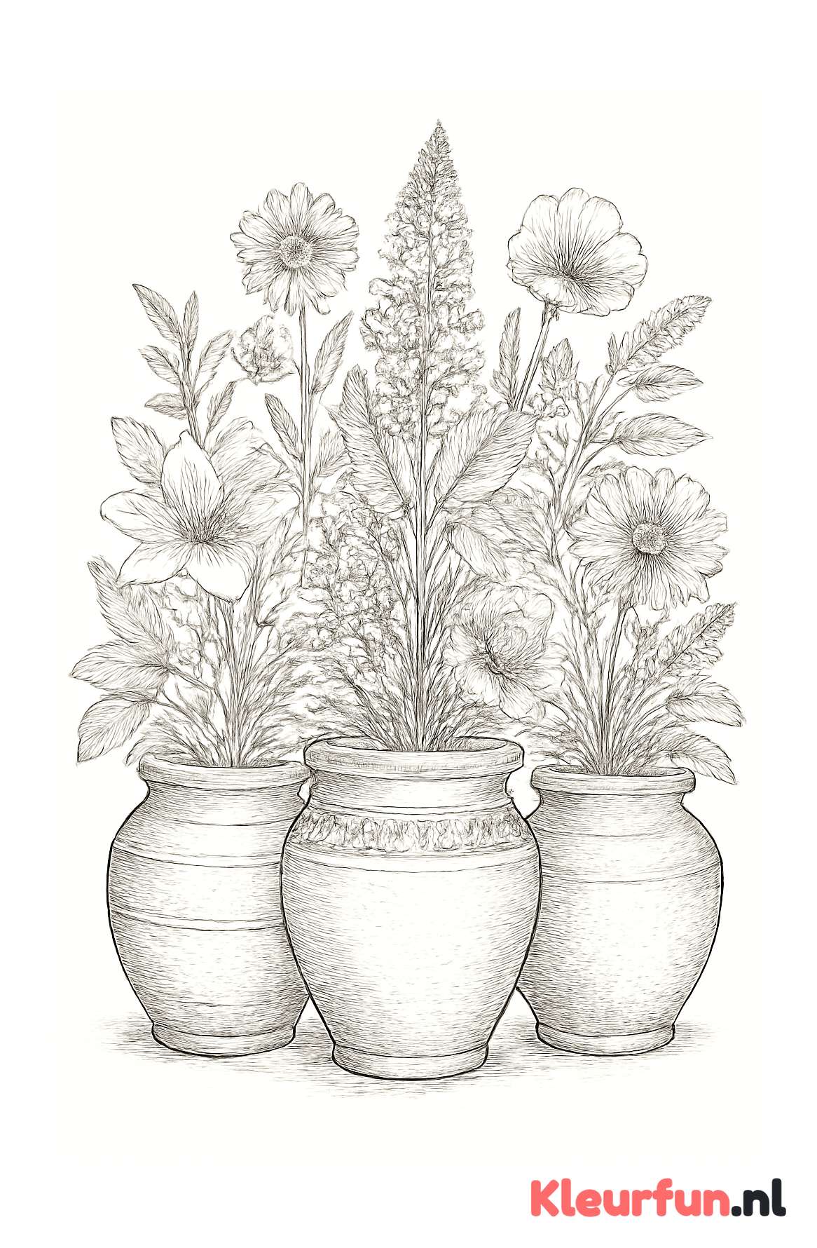 Oude terracottopotten met bloemen