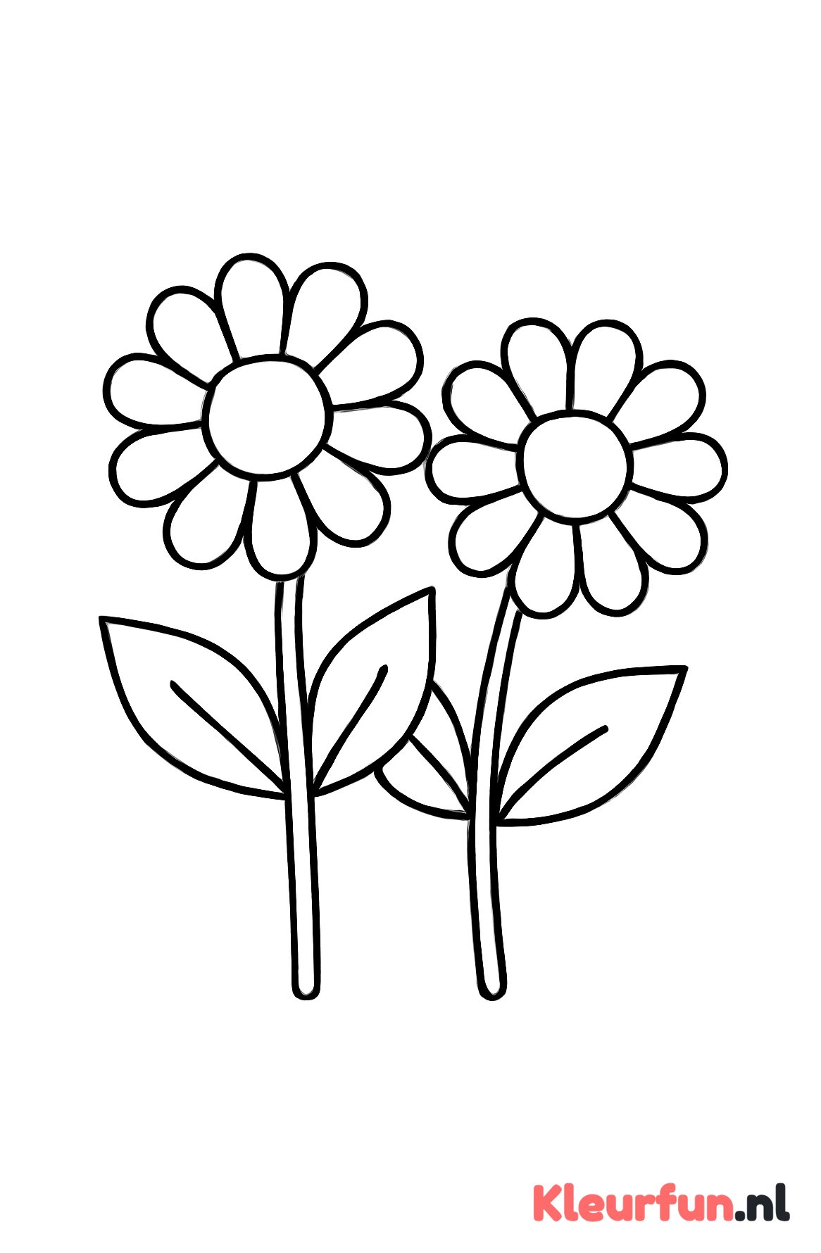 Paar grote bloemen