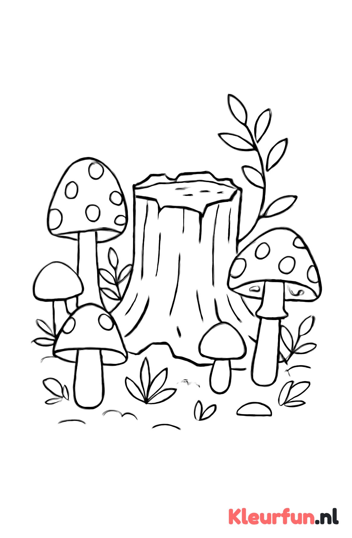 Paddenstoelen bij boomstronk