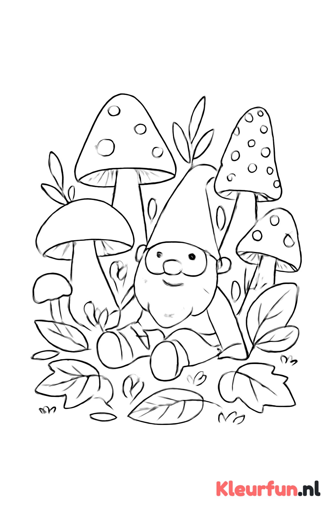 Paddenstoelen met kabouter
