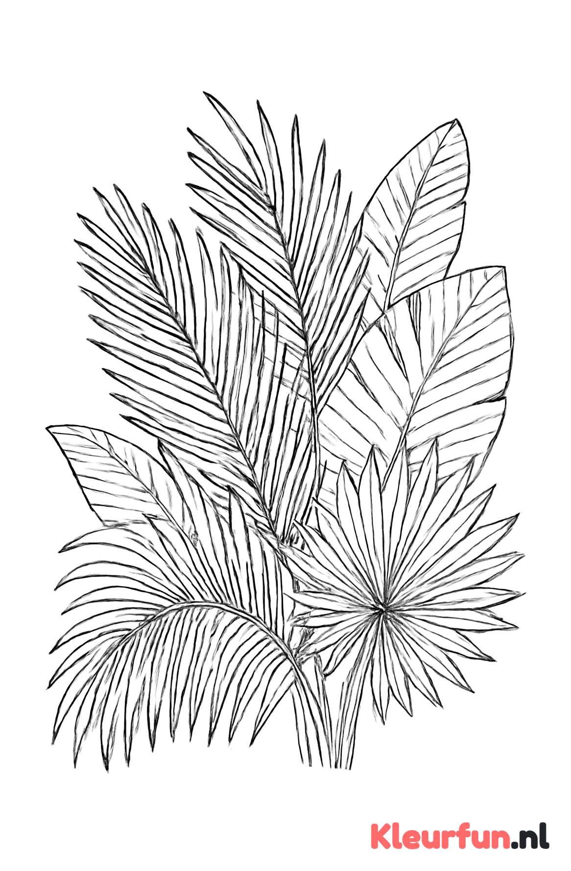 Gedetailleerde palmbladeren