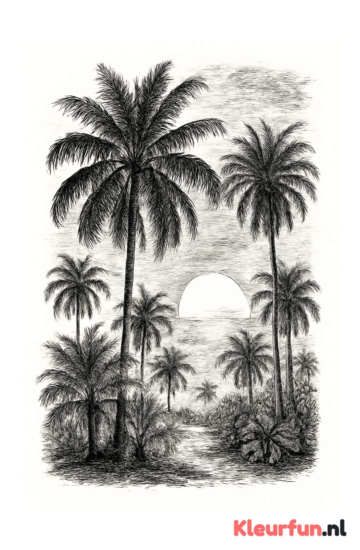 Palmbomen bij zonsondergang