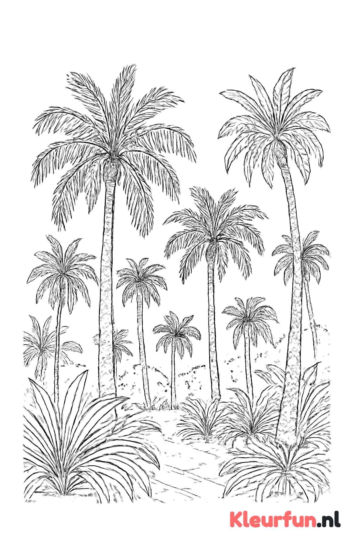 Palmbos met diverse palmbomen