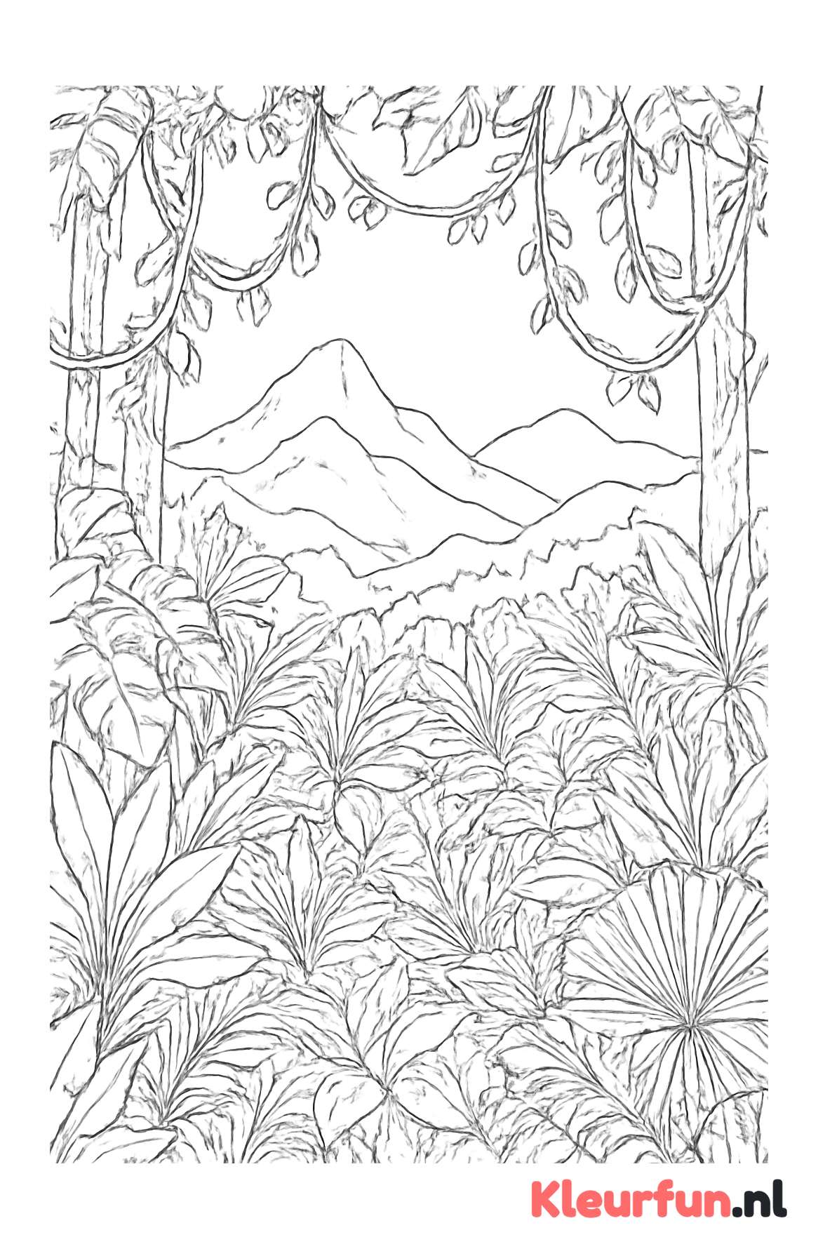 Panoramisch junglelanschap