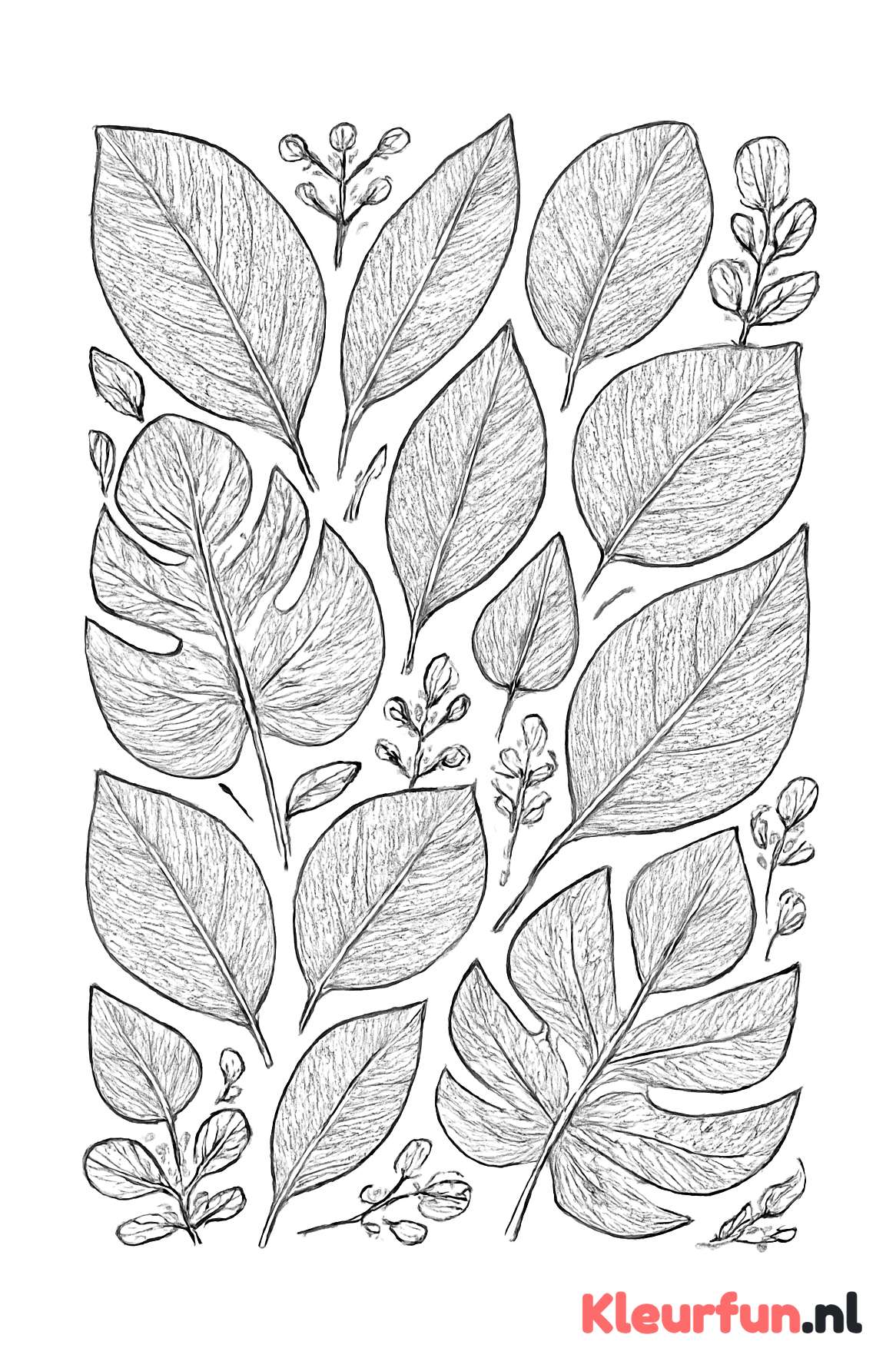 Patroon Bladeren en Plantjes
